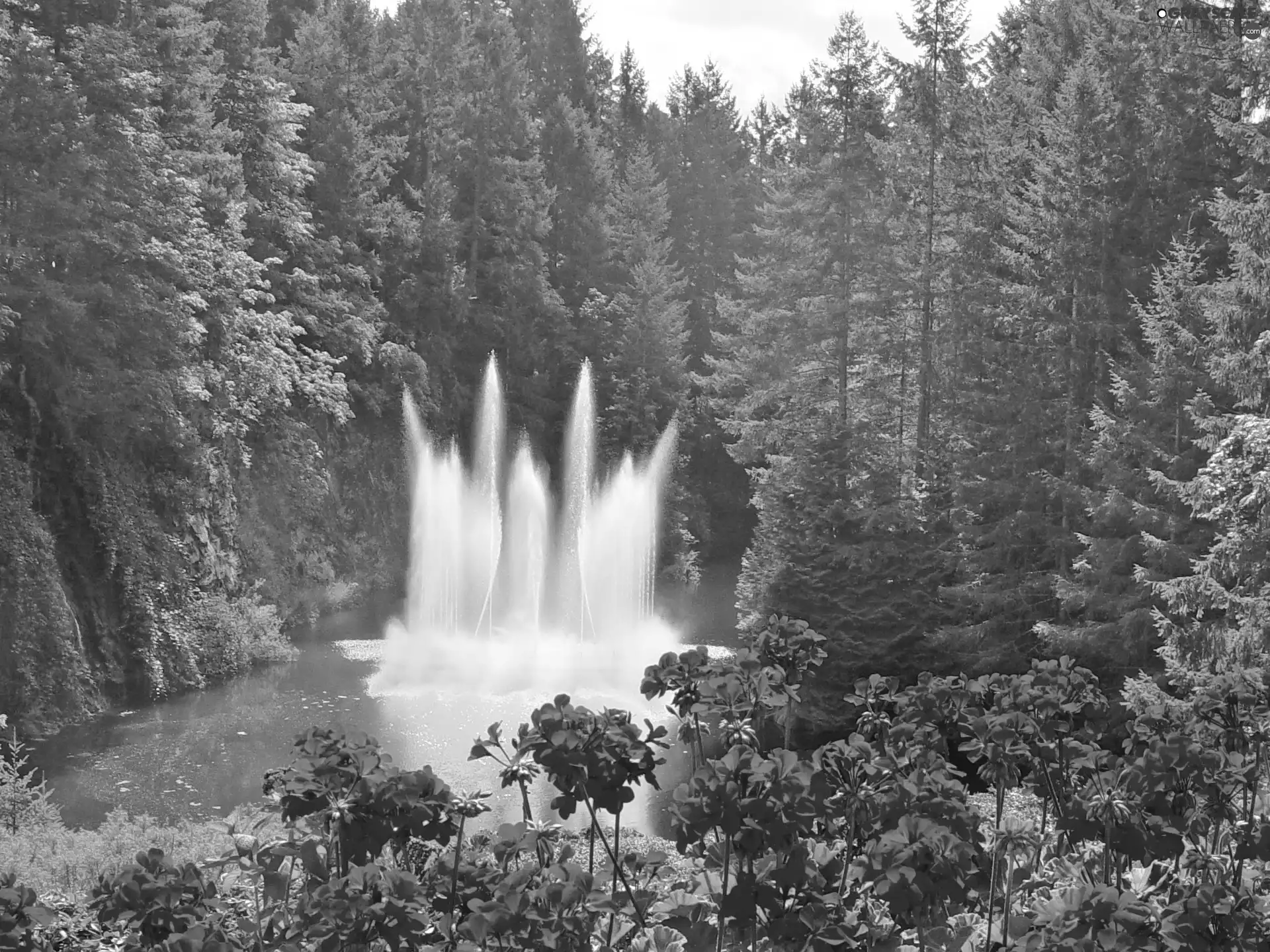 fountain, forest, Flowers, lake