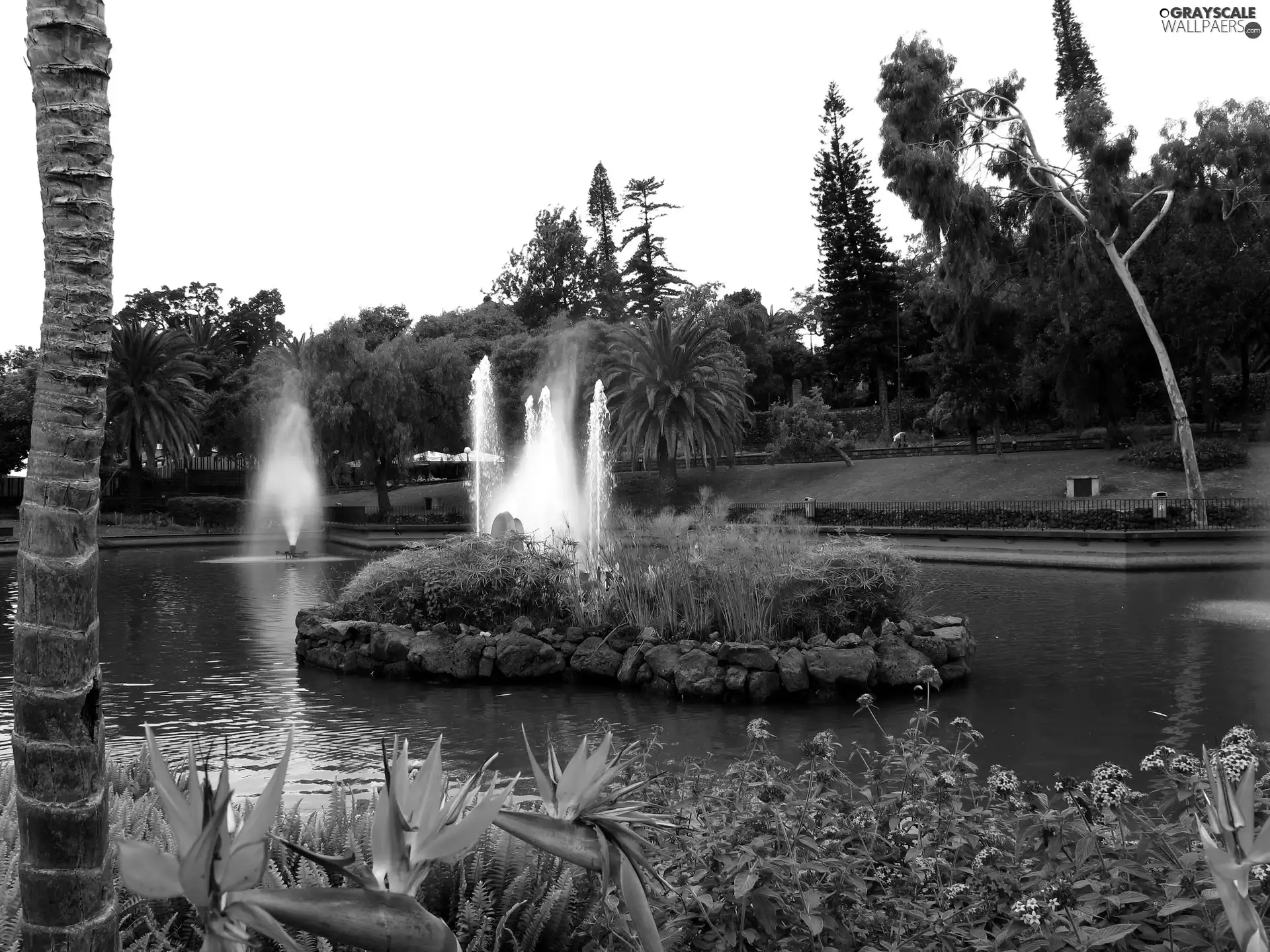 Flowers, Park, Fountains