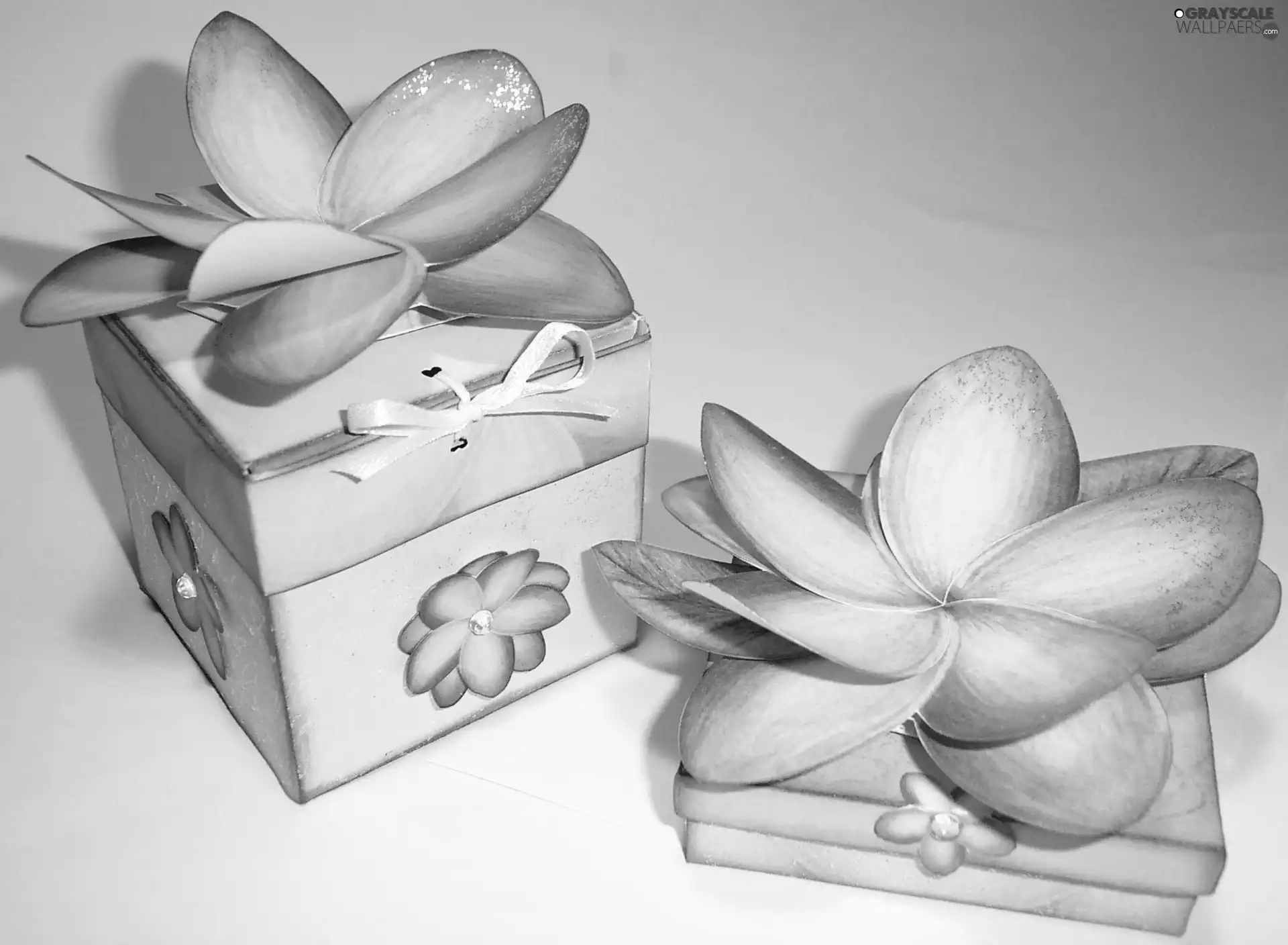 Flowers, frangipani, gifts, Artificial, Boxes