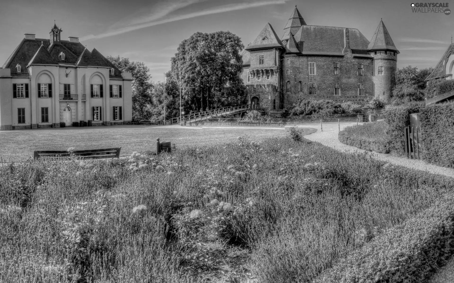 Flowers, Residences, Garden