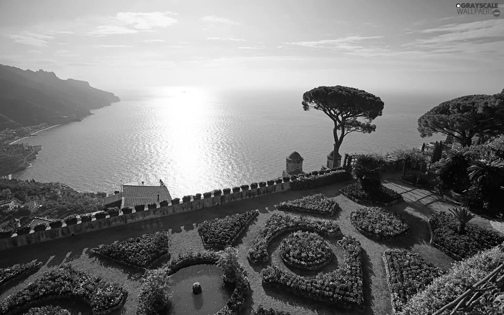 viewes, Flowers, Garden, trees, sea