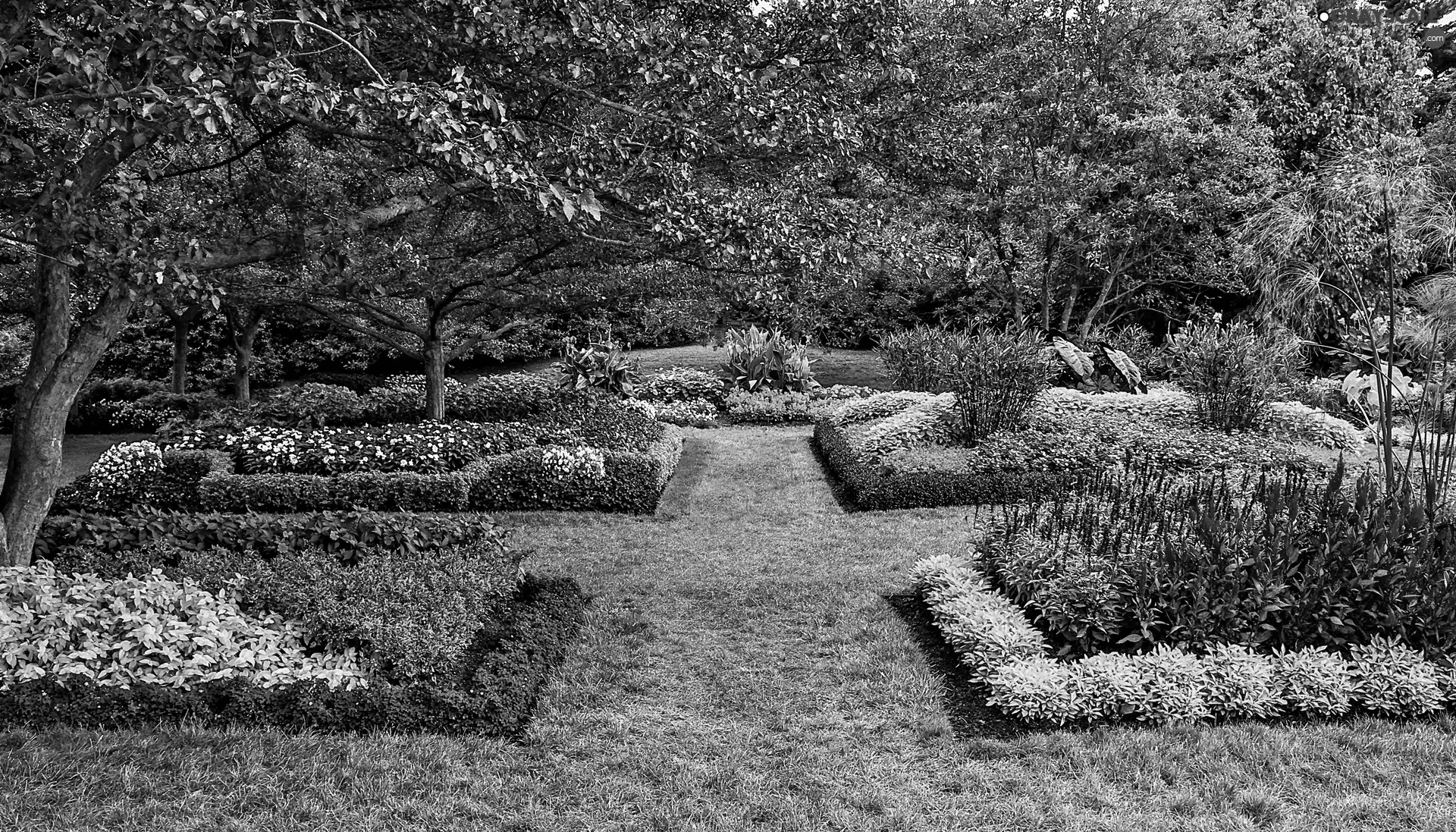 Garden, viewes, Flowers, trees