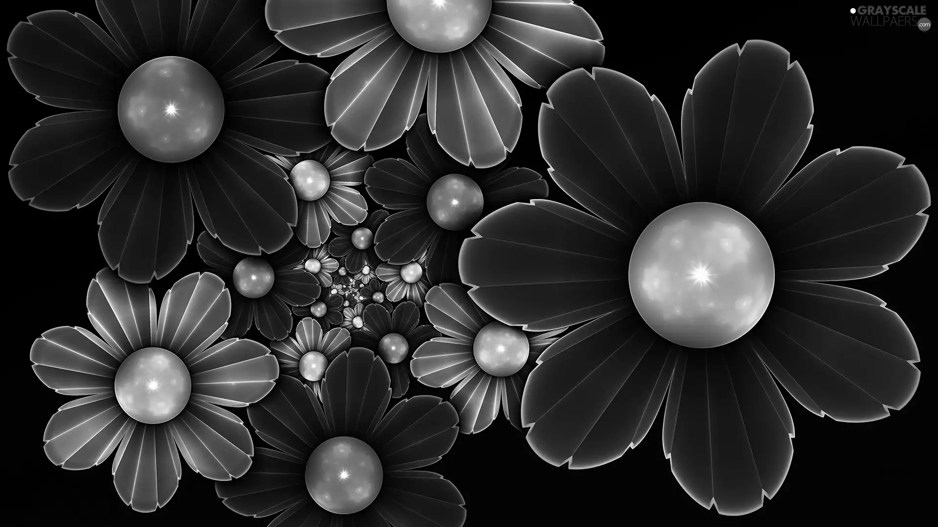 Flowers, abstraction, graphics