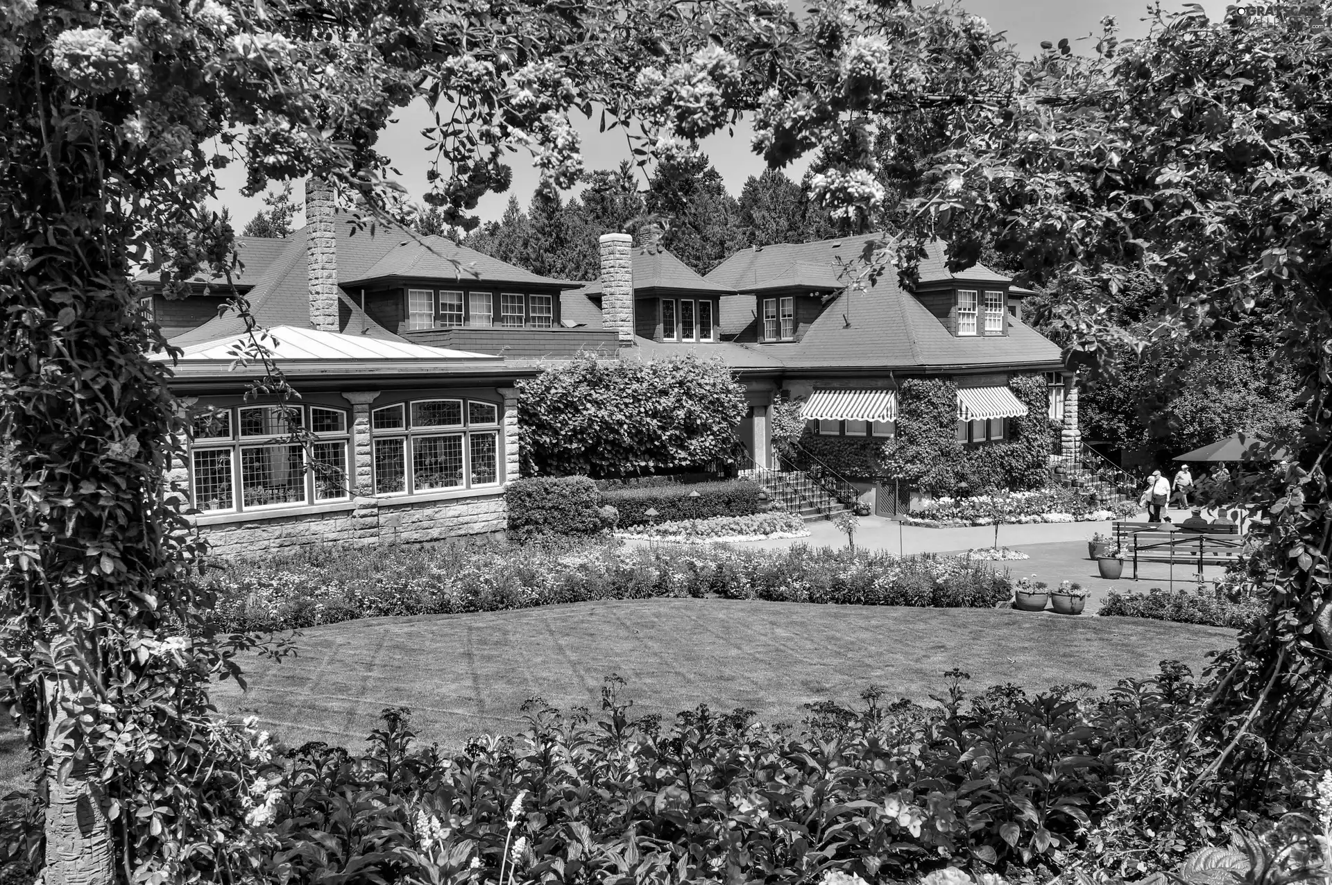 Flowers, Park, House