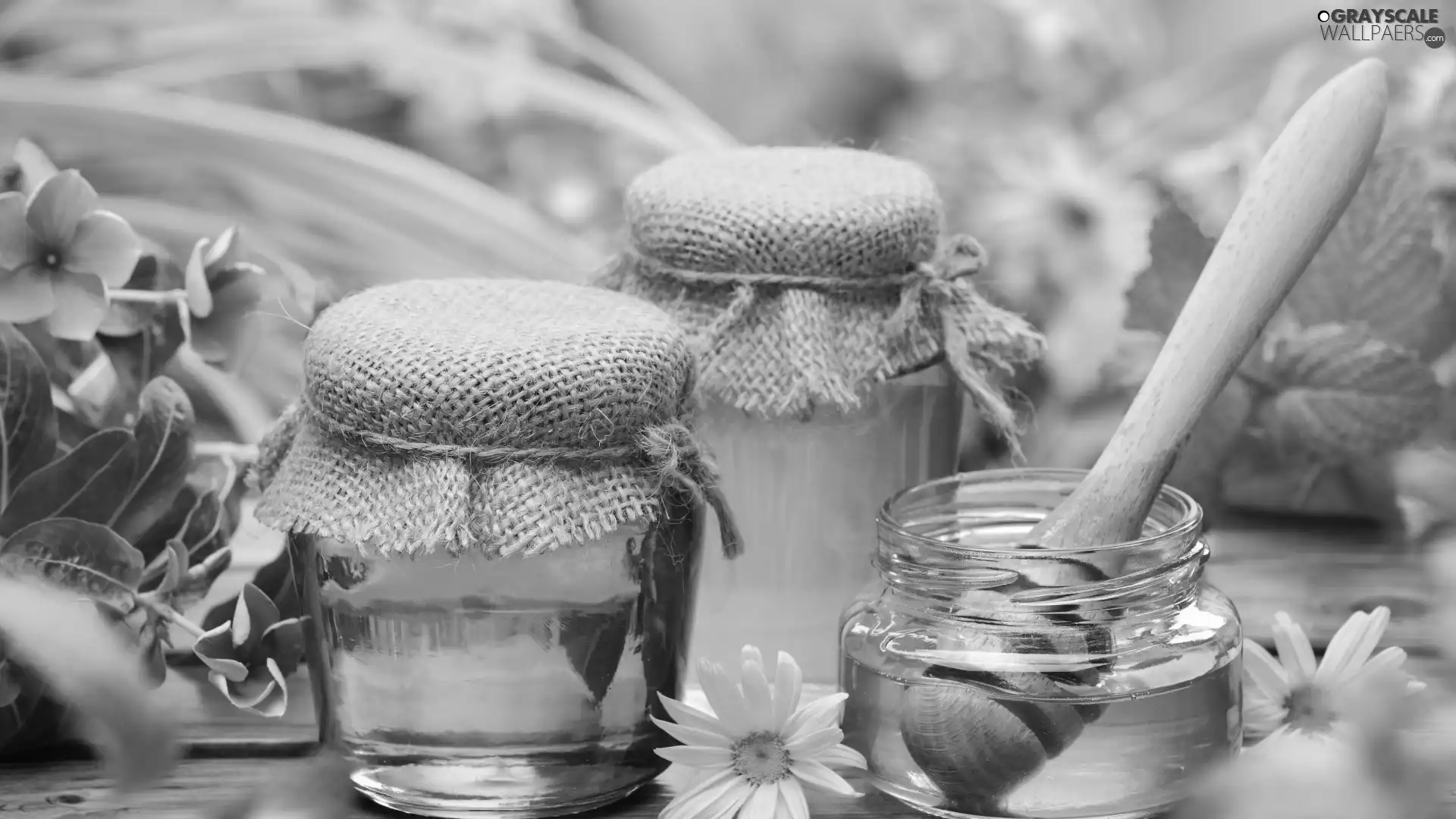 Flowers, honey, Jars