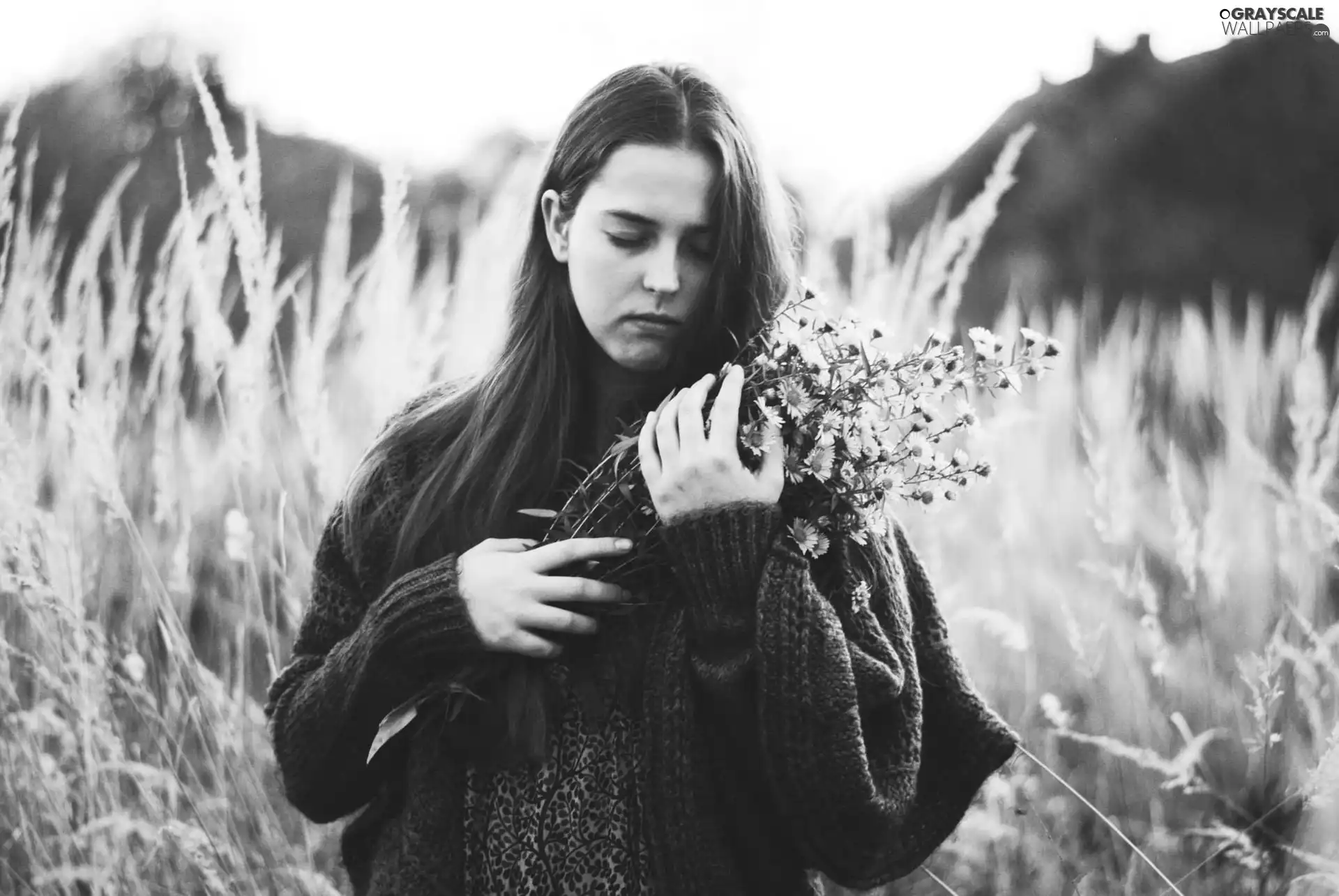 Women, bouquet, flowers, light brown