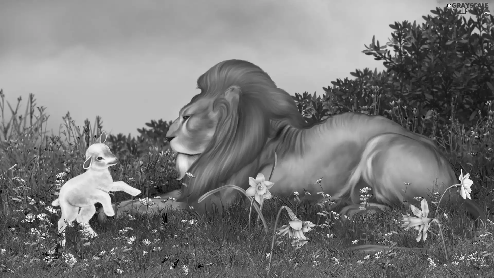 Lion, Meadow, Flowers, sheep