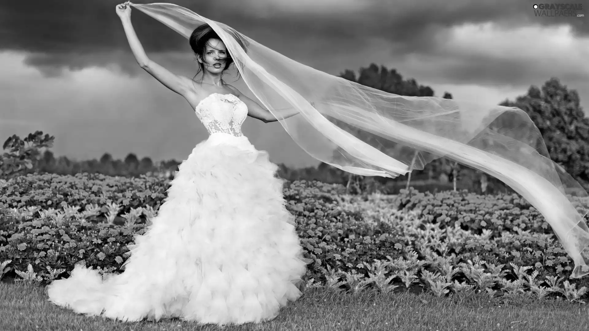 Isabella Matias, wedding, Flowers, Dress