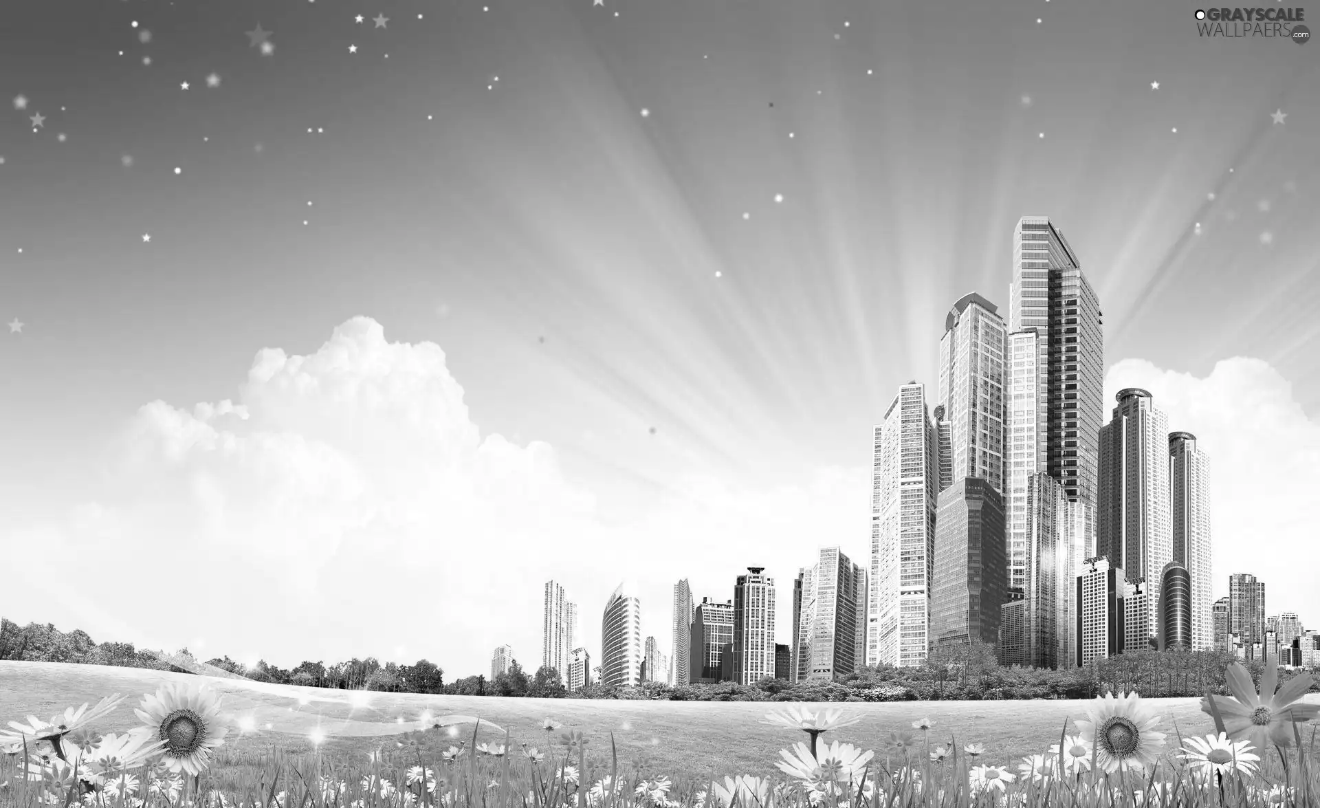 Flowers, skyscrapers, Meadow