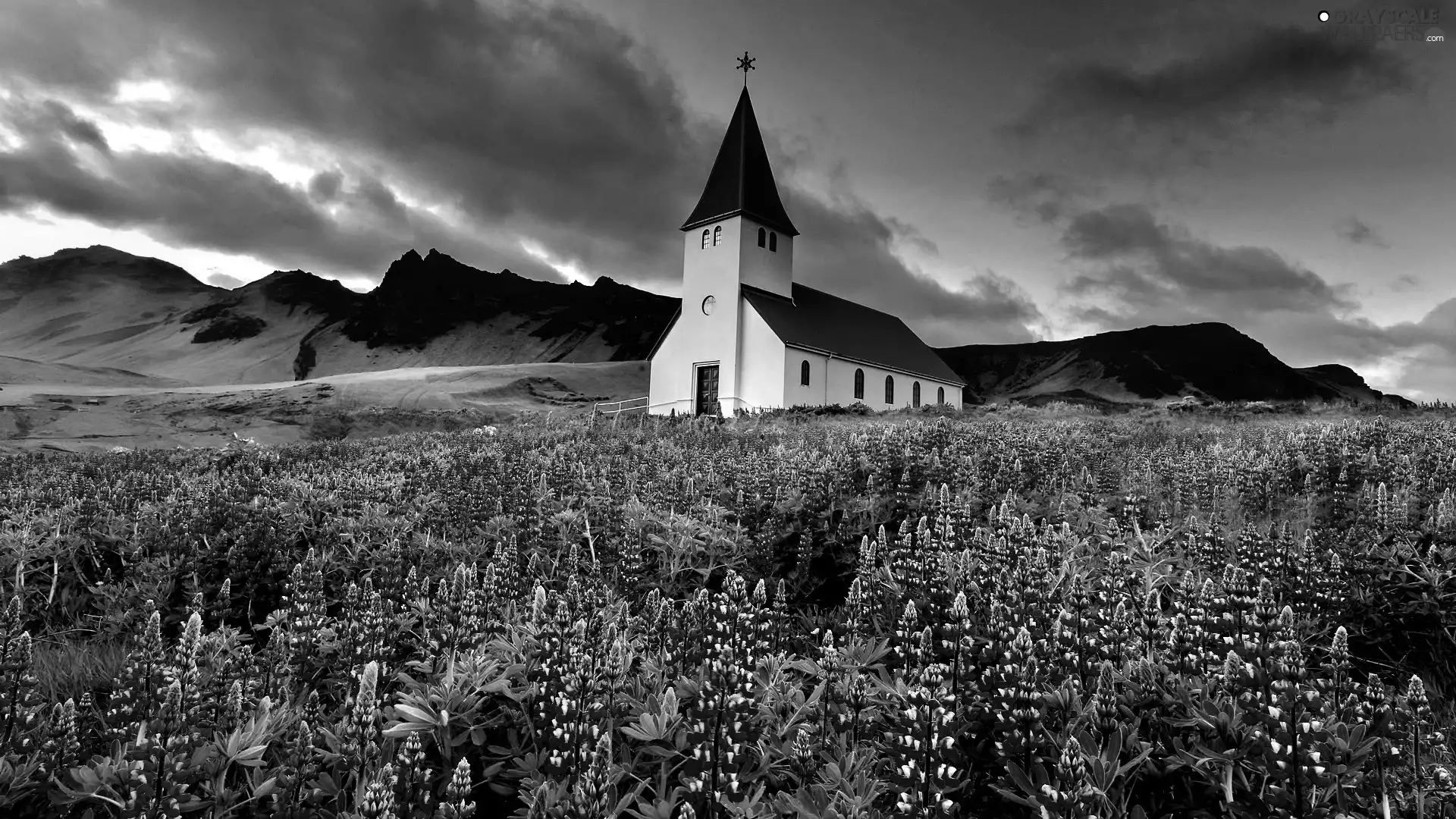 Mountains, Church, Flowers, Meadow