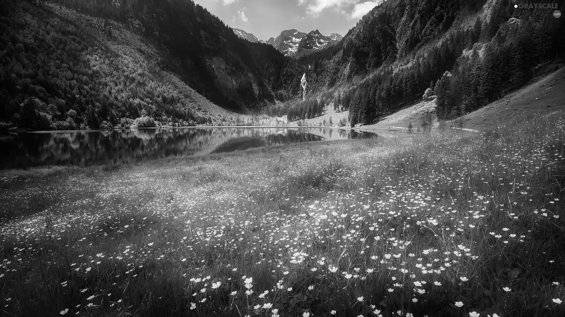 Meadow, Flowers, Mountains, waterfall, lake