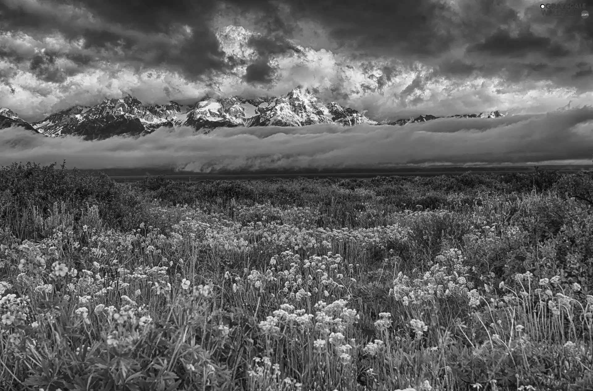 Mountains, Meadow, Flowers, clouds