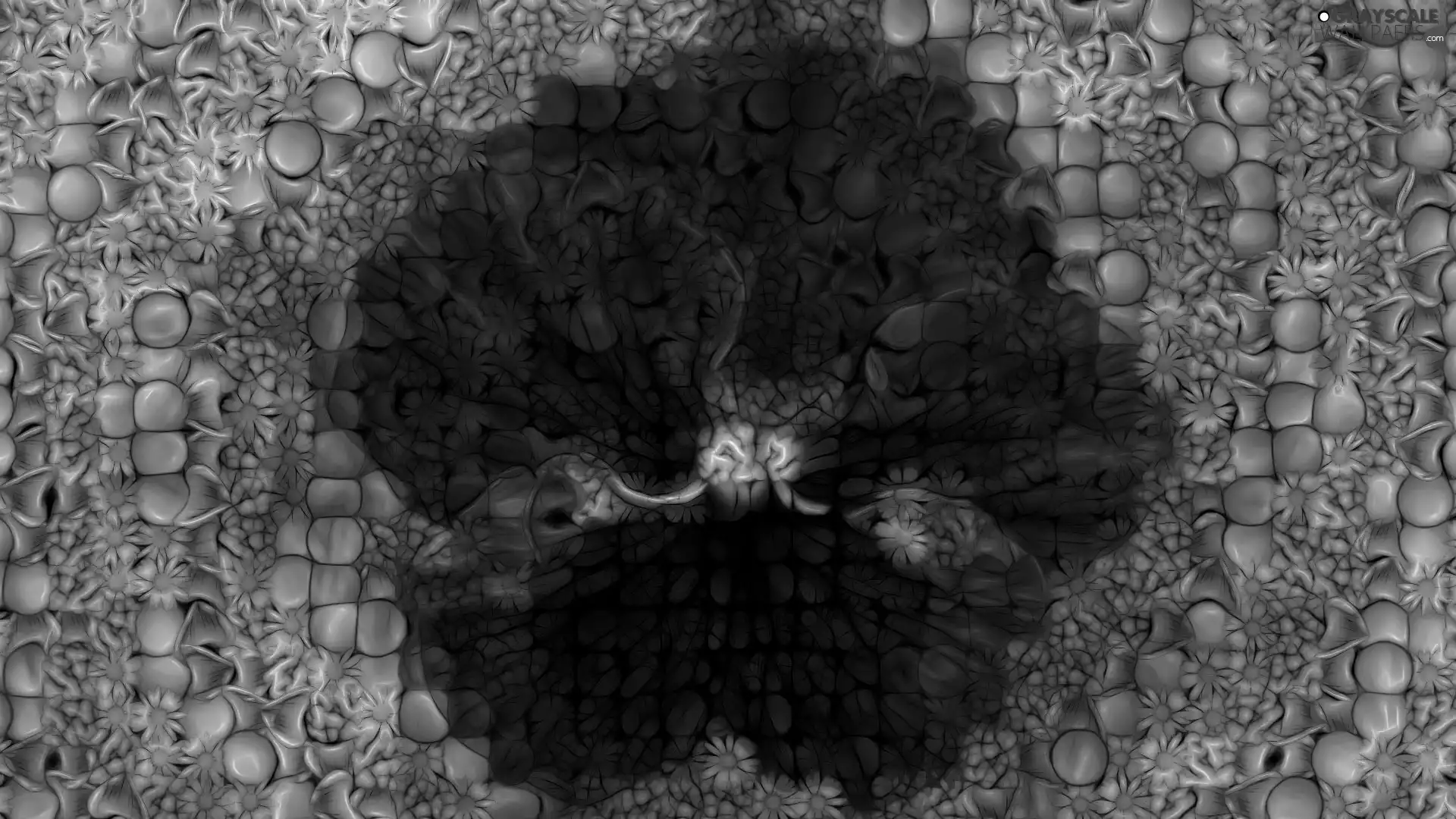 pansy, graphics, Colourfull Flowers