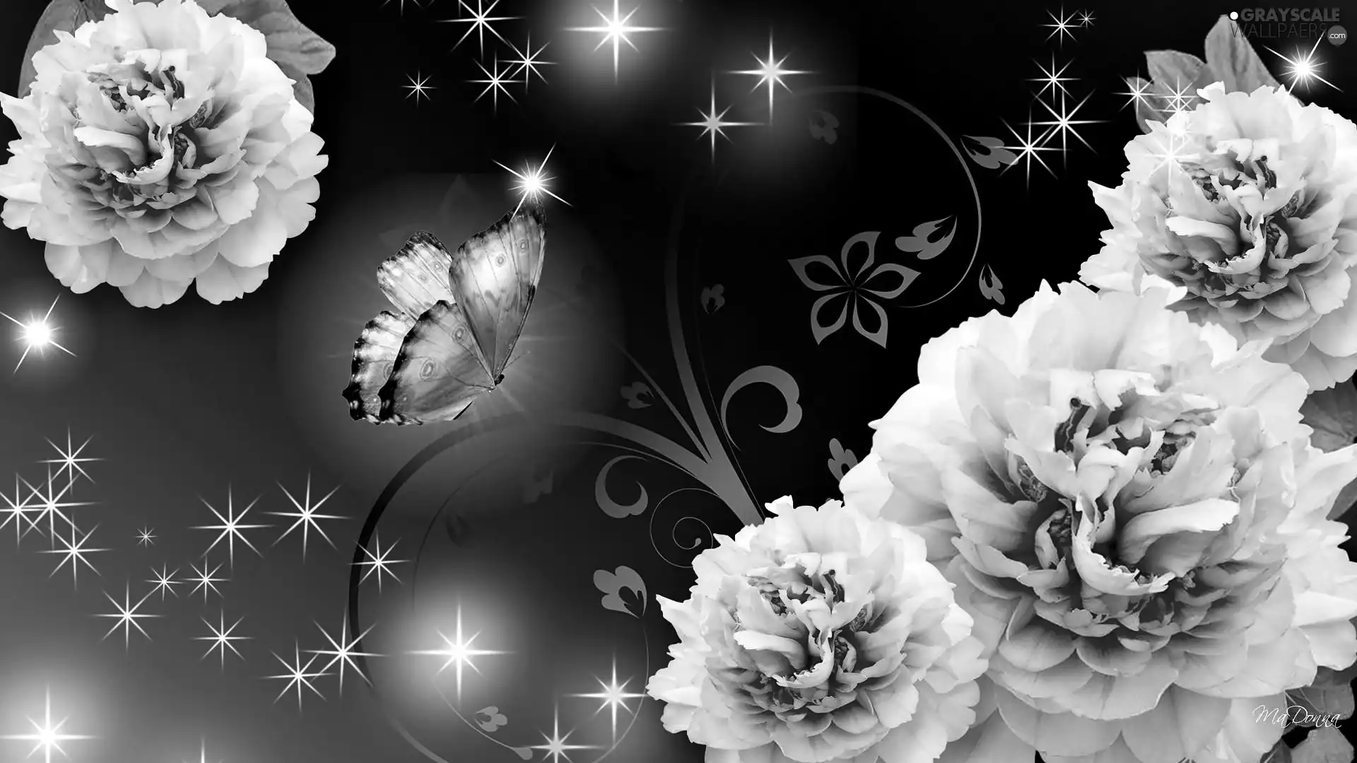 Flowers, Peonies, Stars, butterfly, graphics