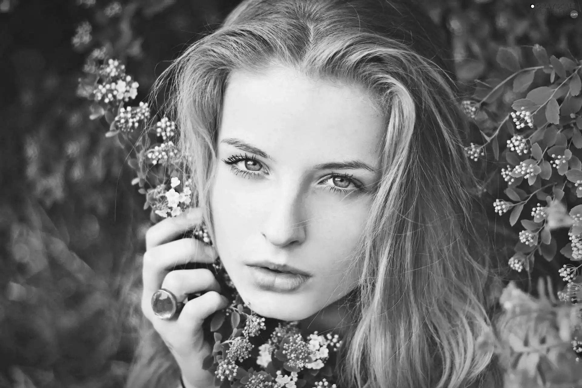 Flowers, Ring, Blonde, White, Women