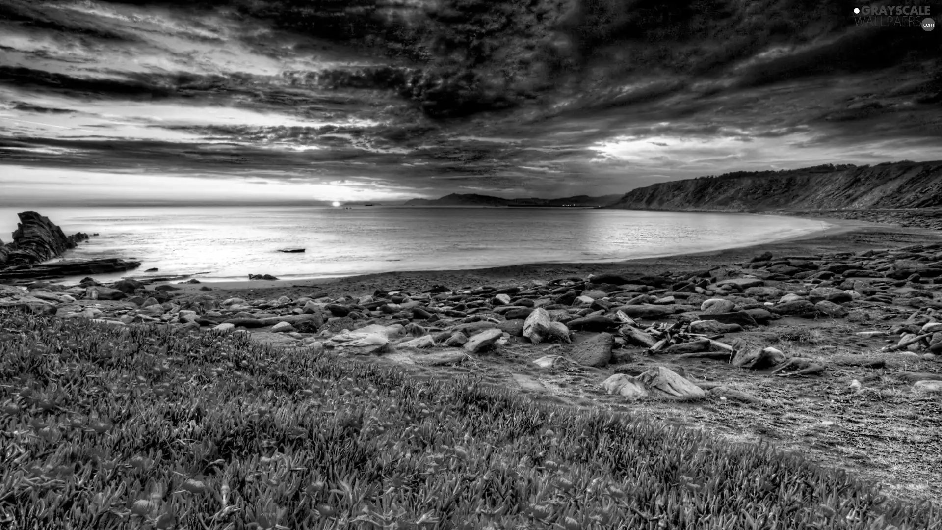 sea, Great Sunsets, Flowers, Stones