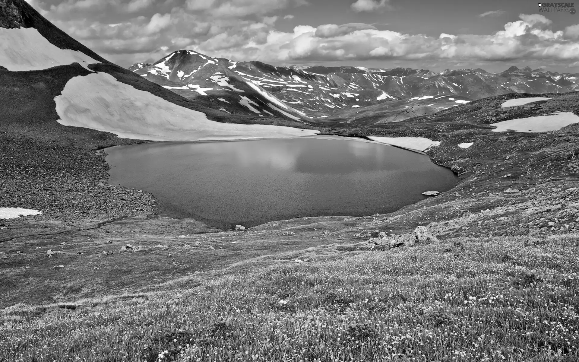 Flowers, snow, lake, Wildflowers, Mountains