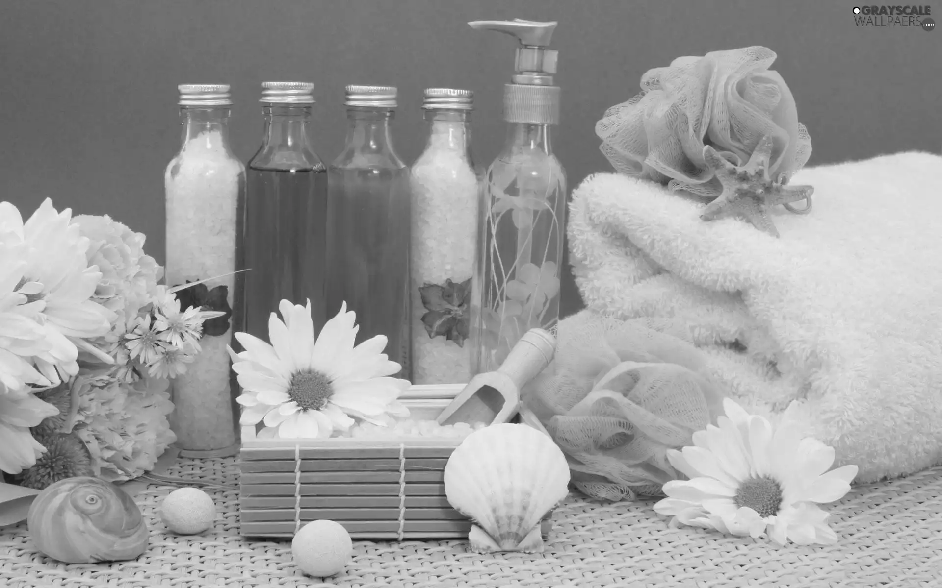 Spa, Shells, Flowers, minerals