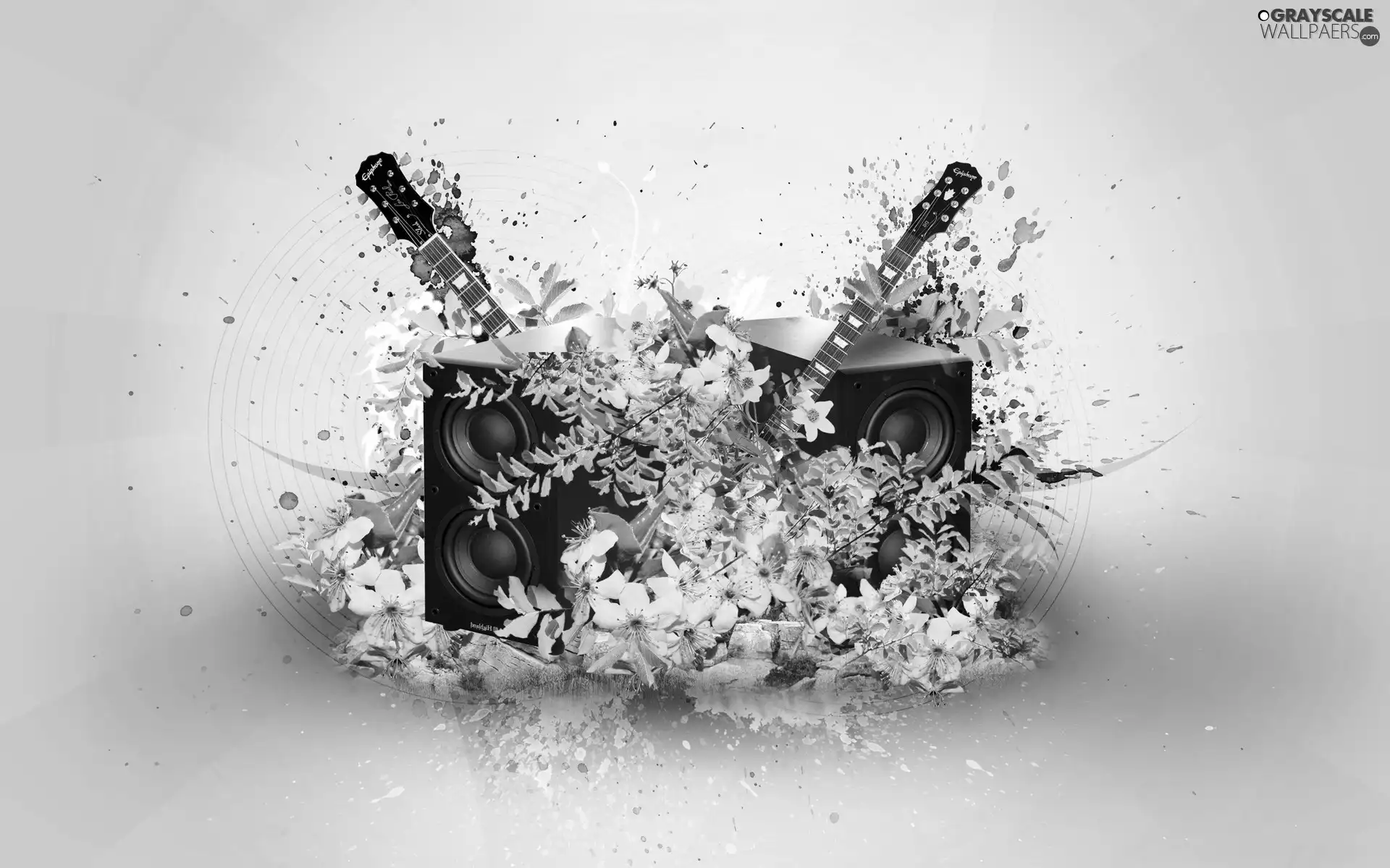 Flowers, Guitars, speaker