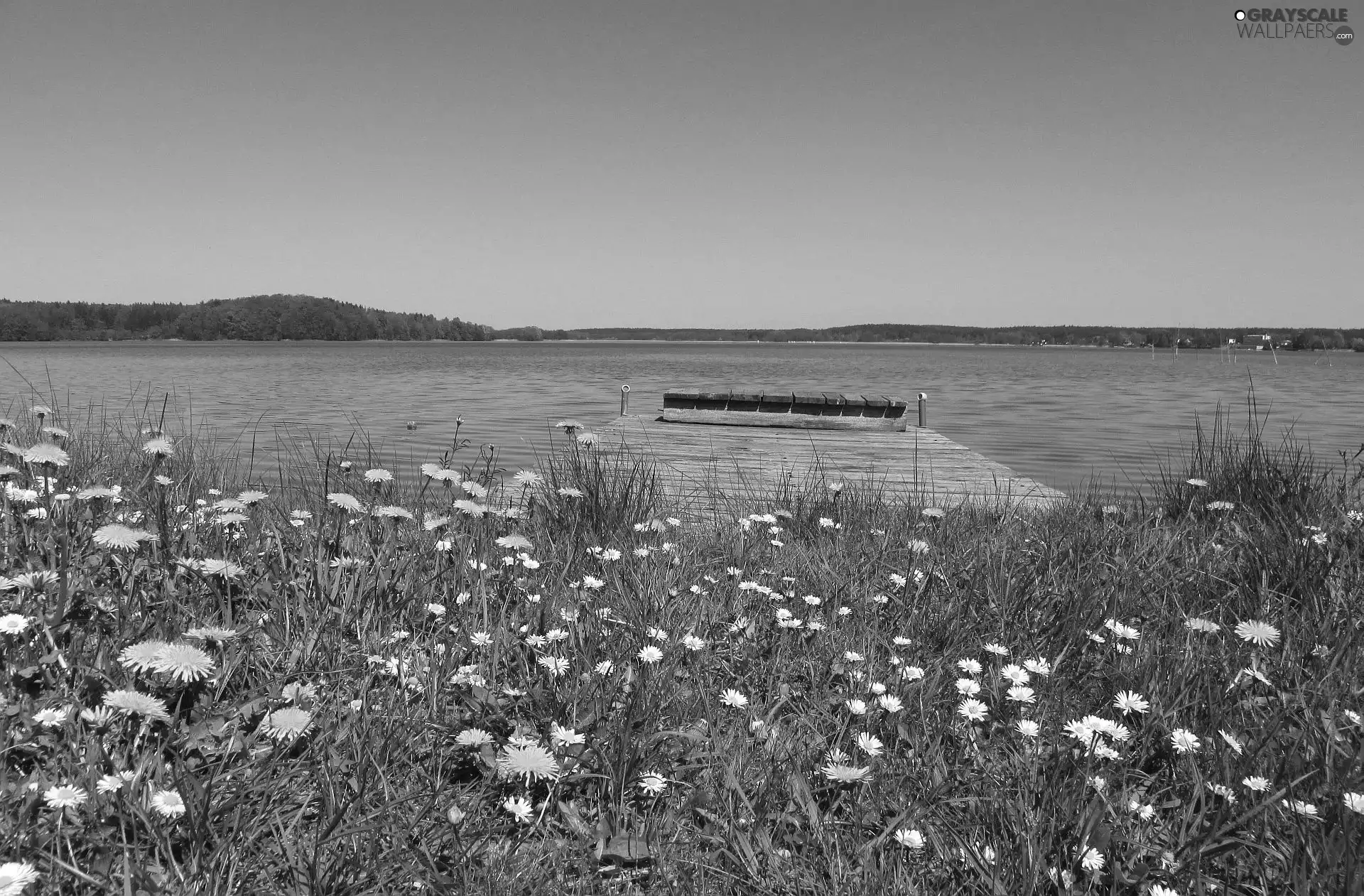 Spring, Platform, Flowers, lake