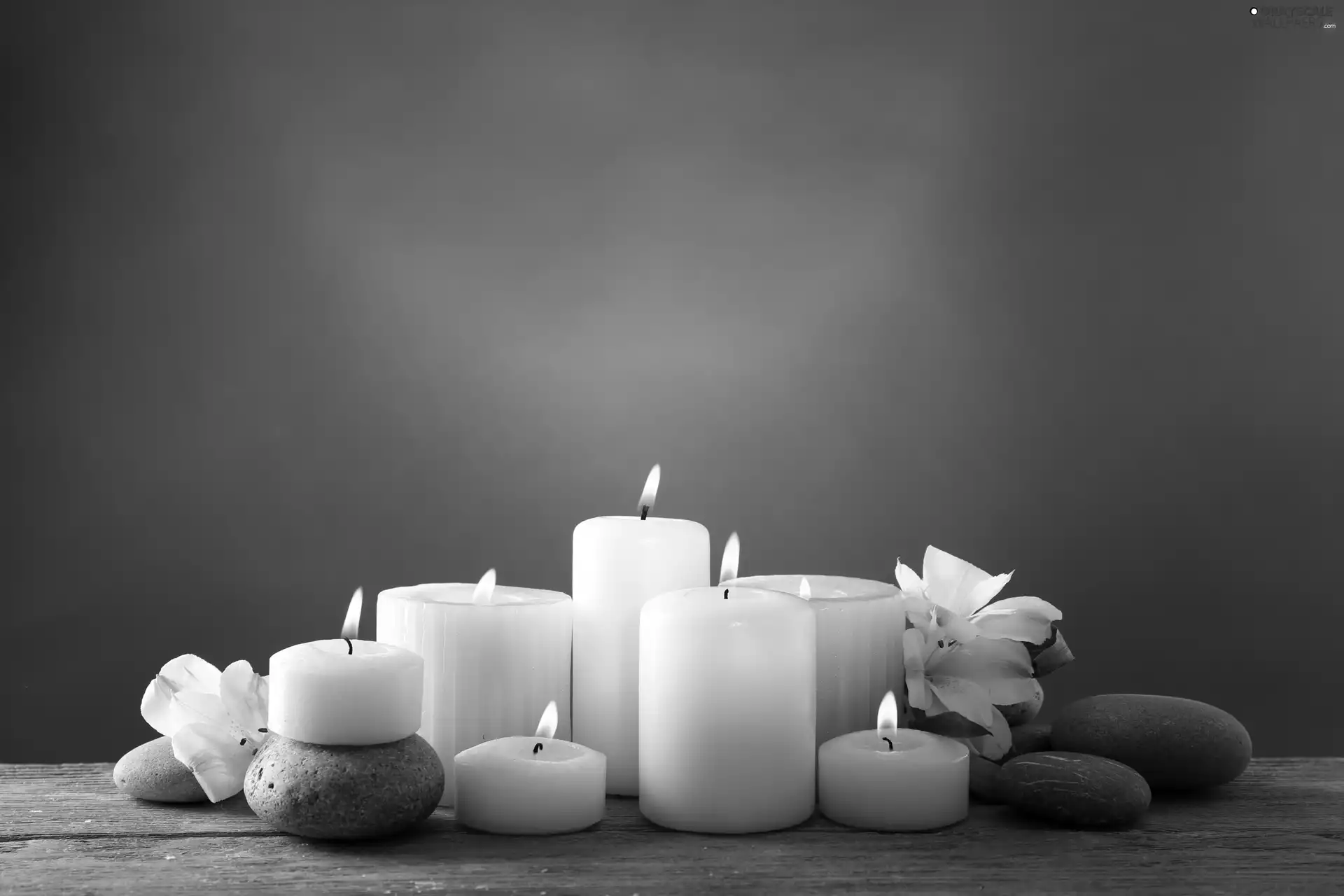 Flowers, Stones, composition, Candles, Spa