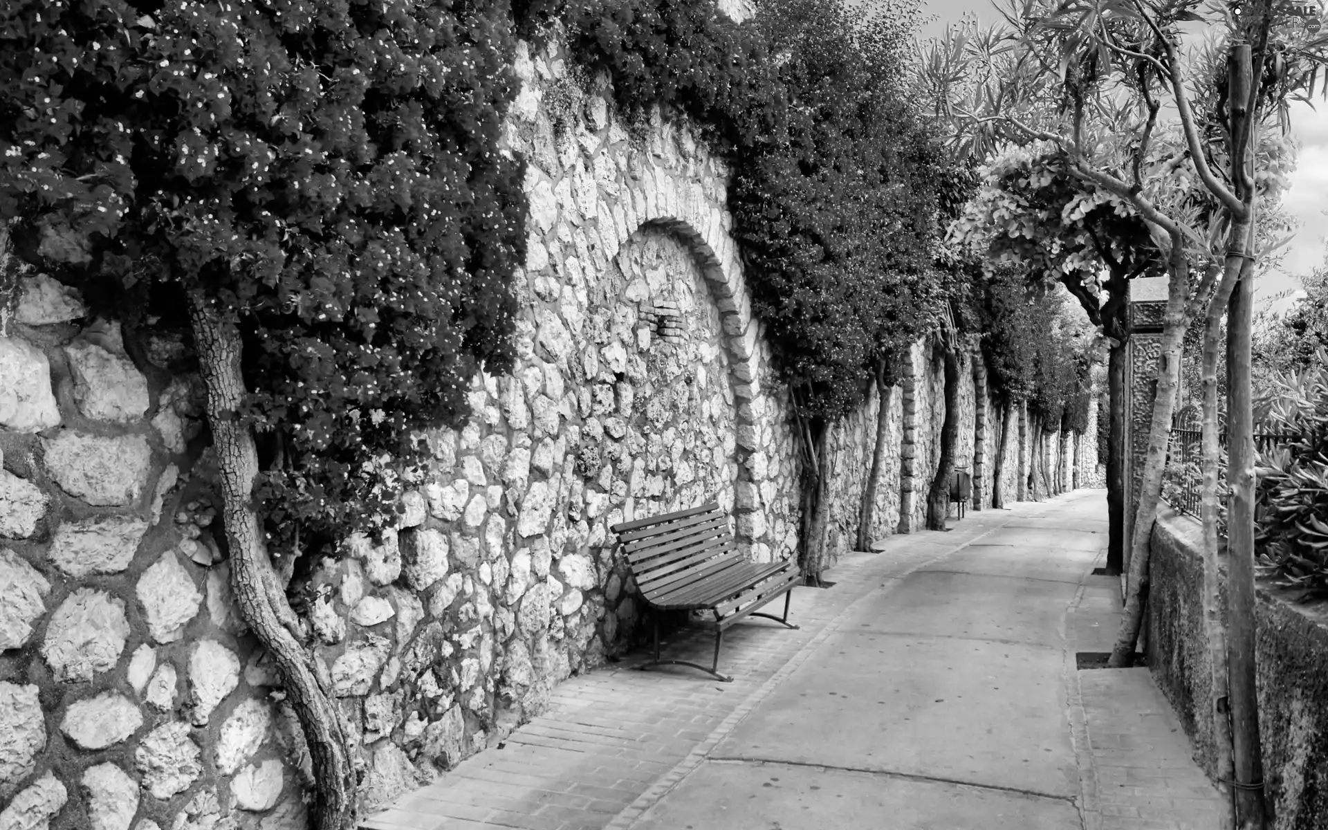 Flowers, wall, Stones