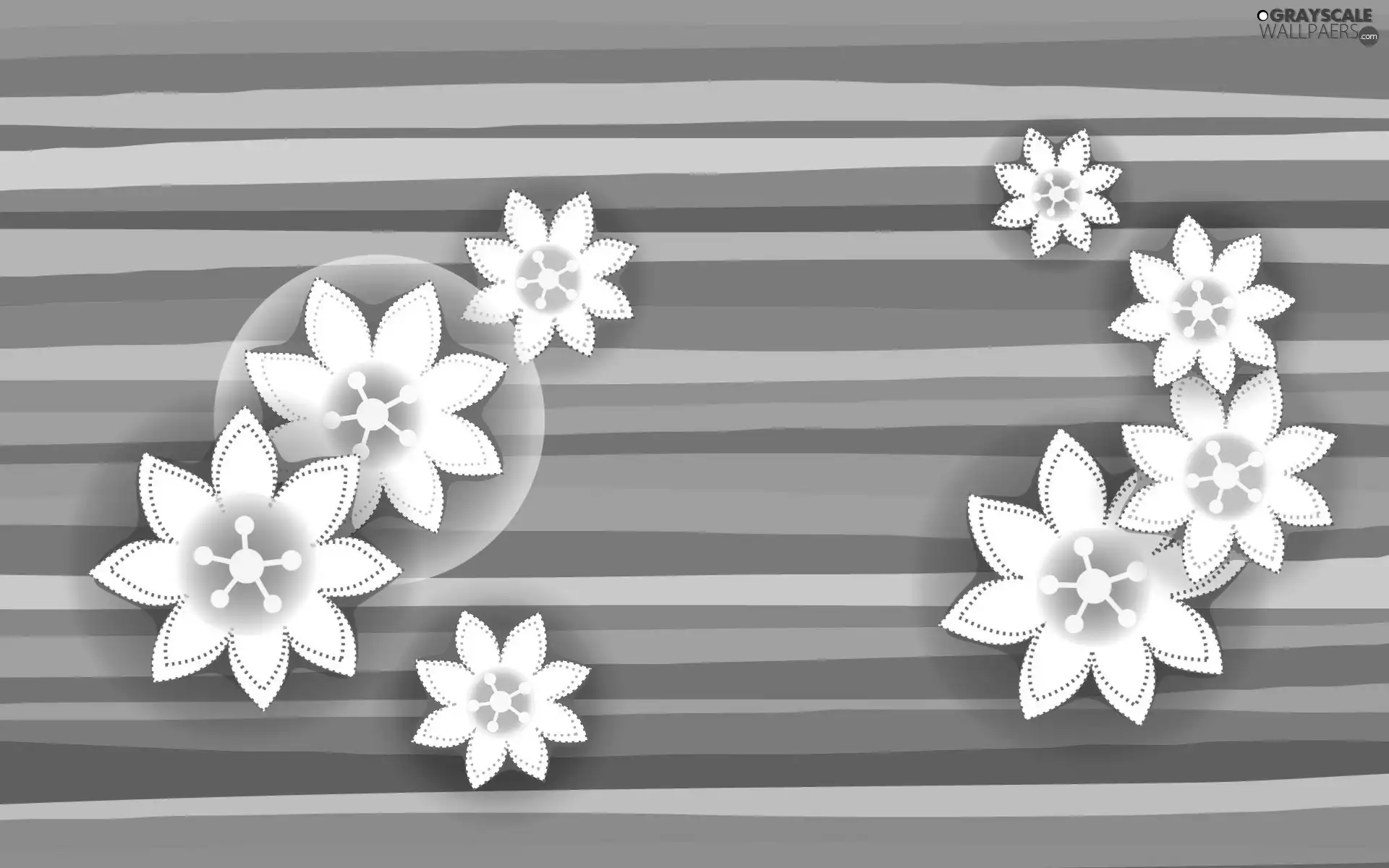 texture, stripes, Flowers, color