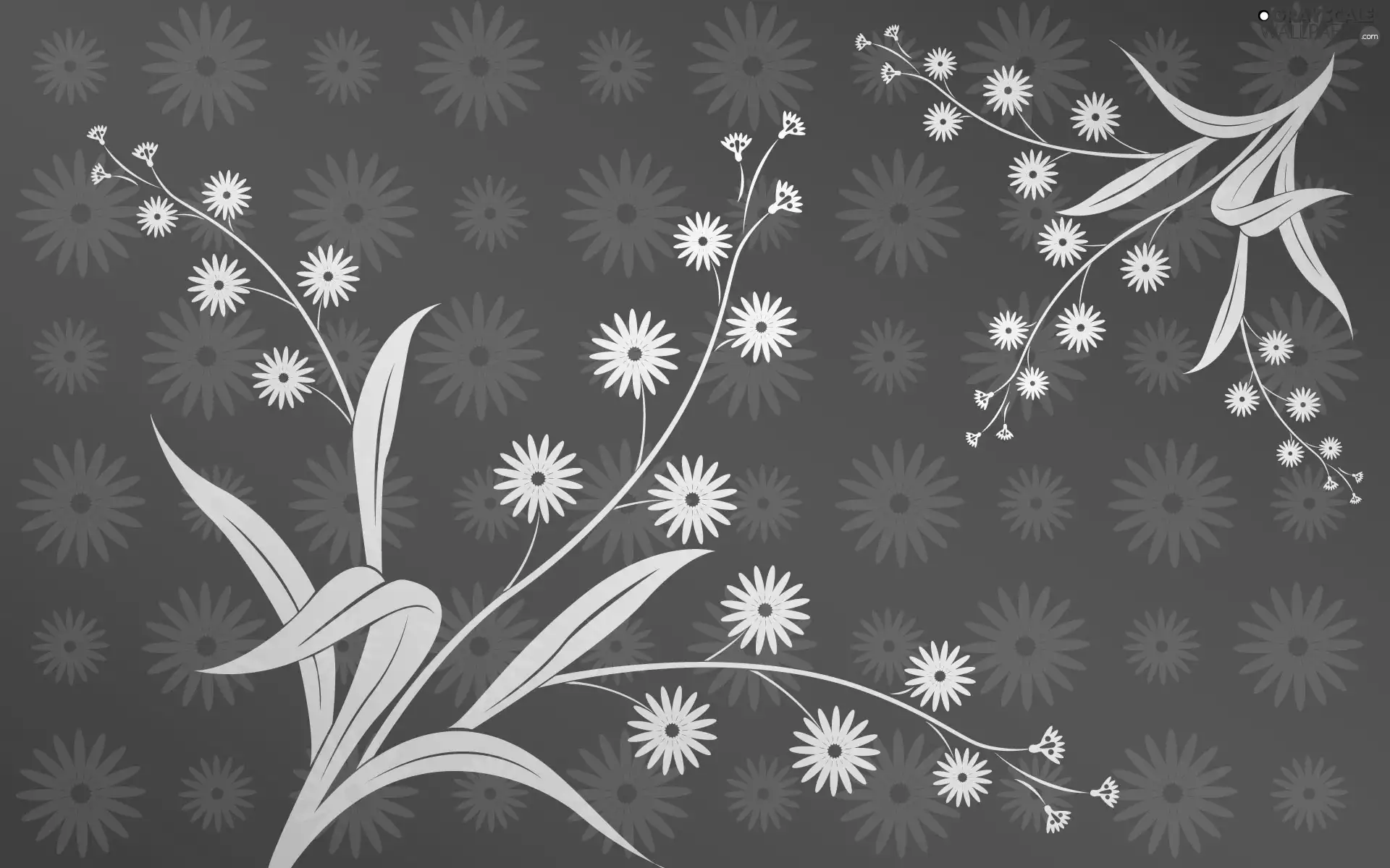 texture, Flowers