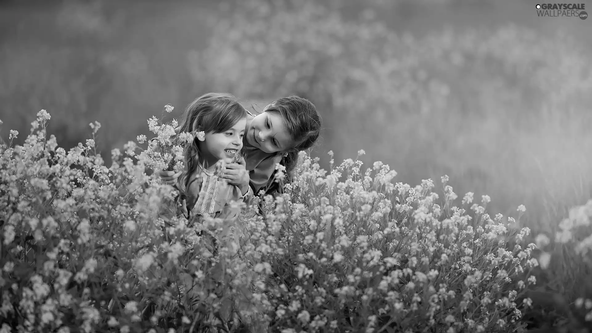 rape, Flowers, Two, girls, Kids