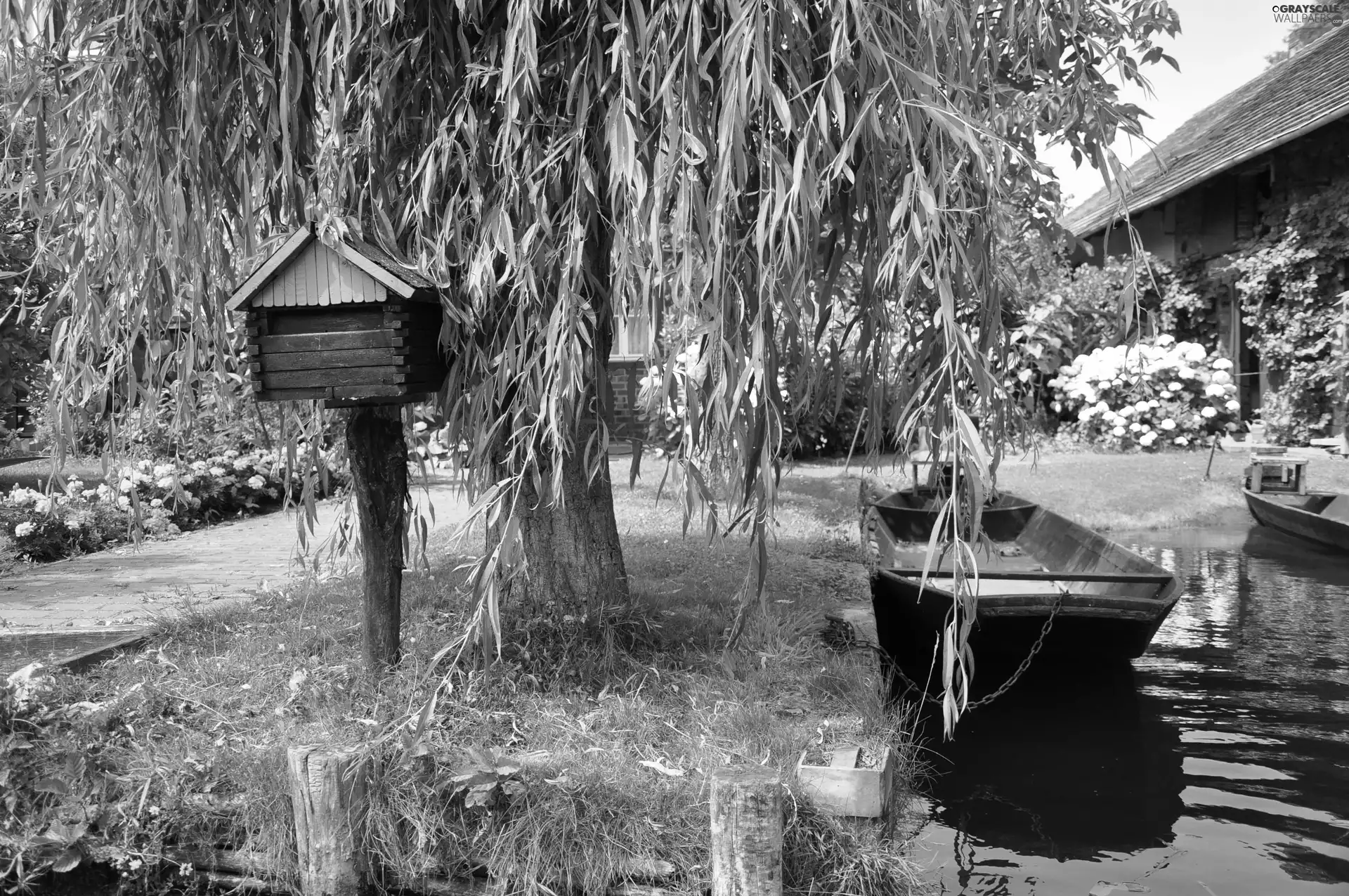 viewes, Flowers, Houses, lake, Boats, trees, Park, Harbour