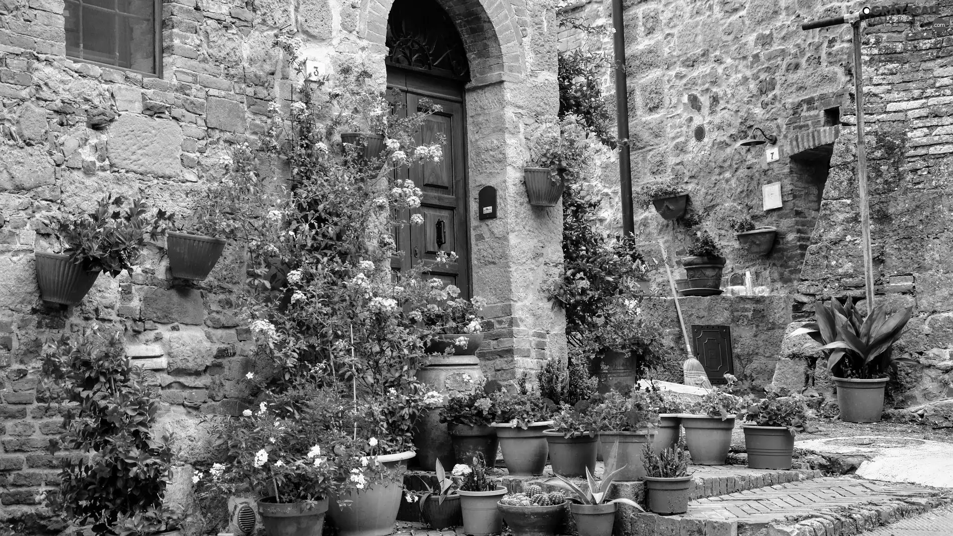 Stairs, house, pots, Flowers, Doors, wall