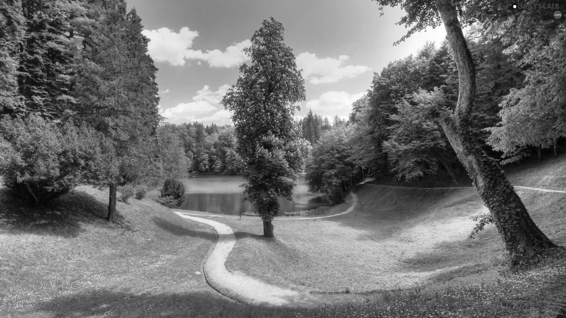 Way, viewes, Flowers, trees