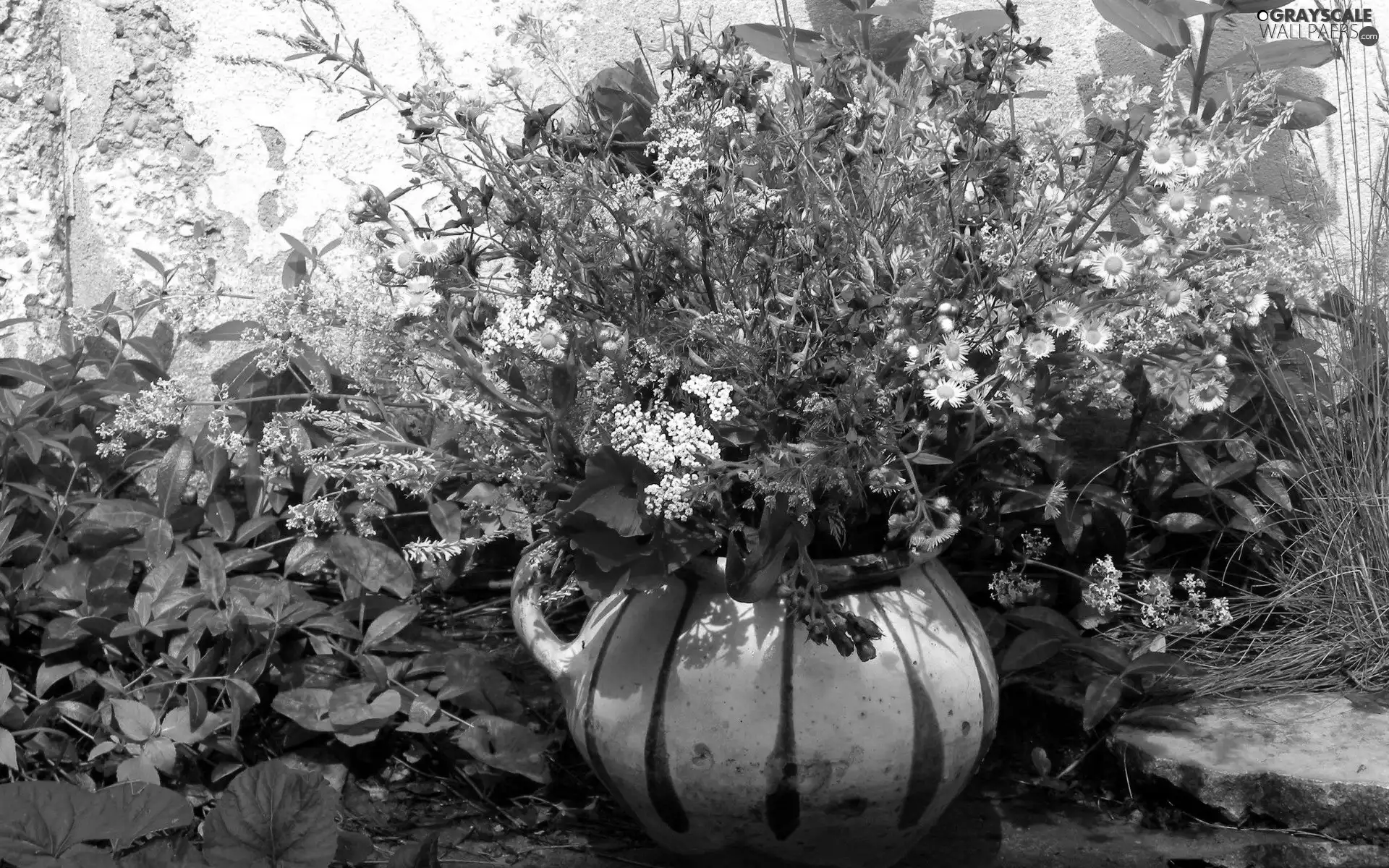 flowers, bouquet, wild