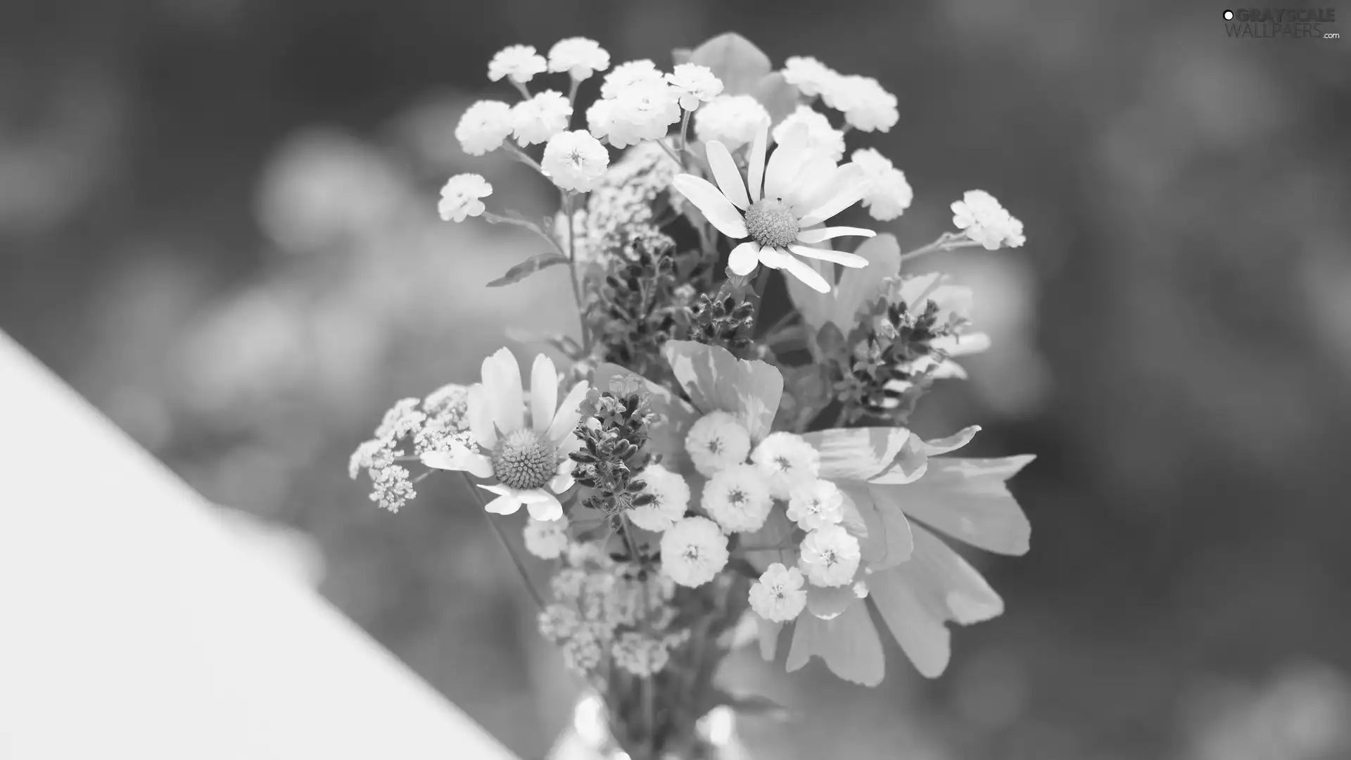 Flowers, bouquet, Wildflowers