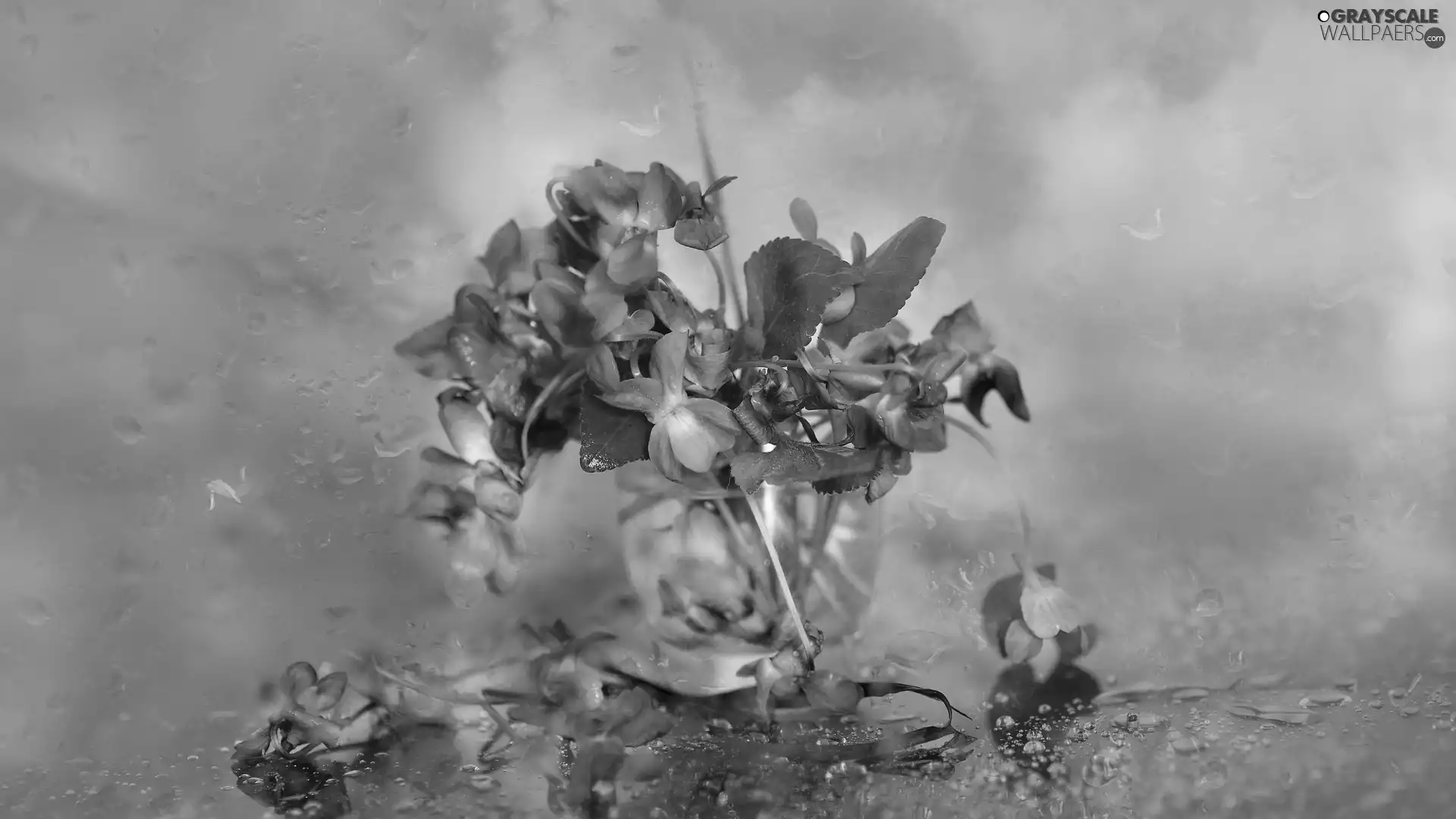 Flowers, Vase, Wildflowers
