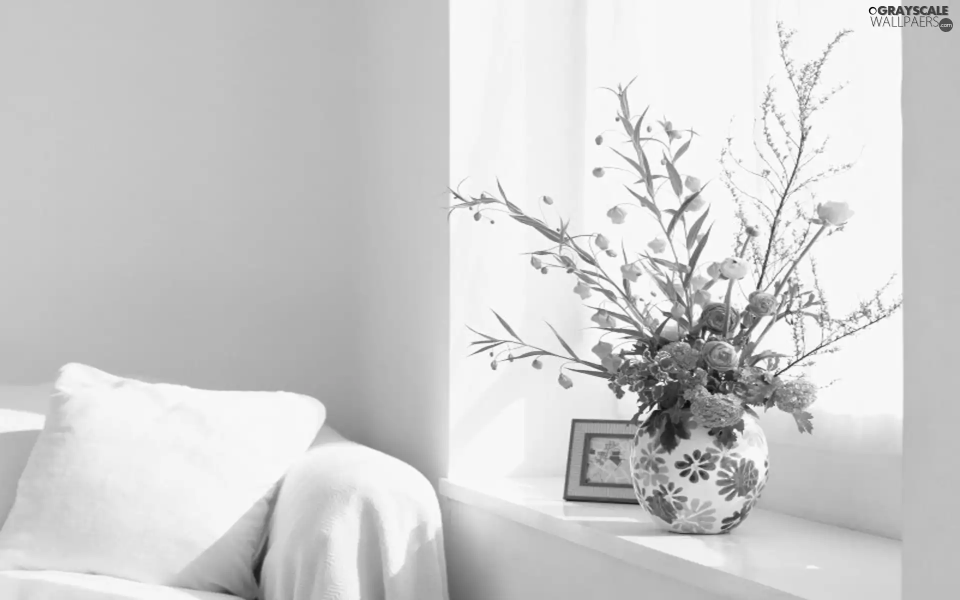 Window, Orange, Flowers, Vase