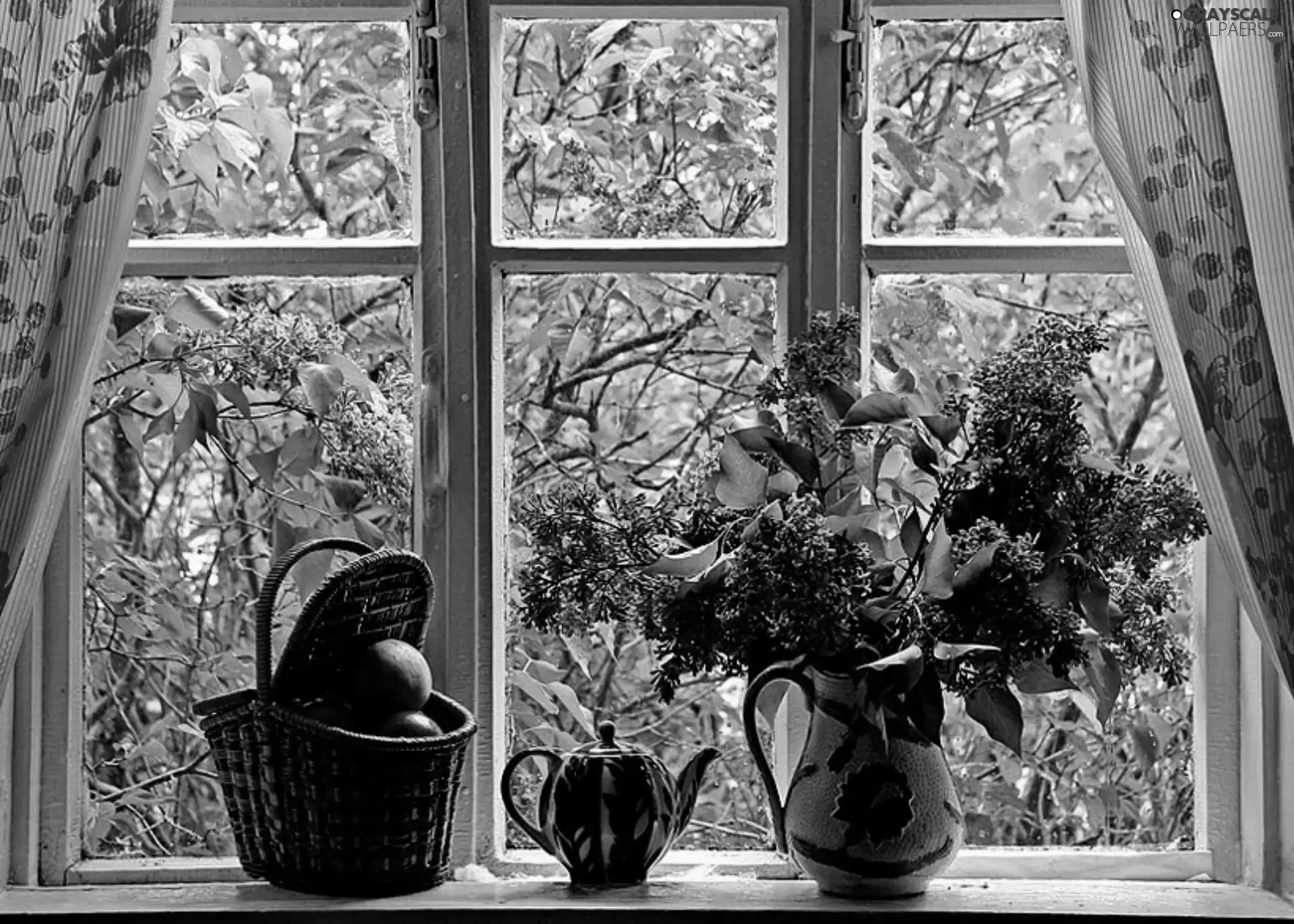 Flowers, without, trees, viewes, Window
