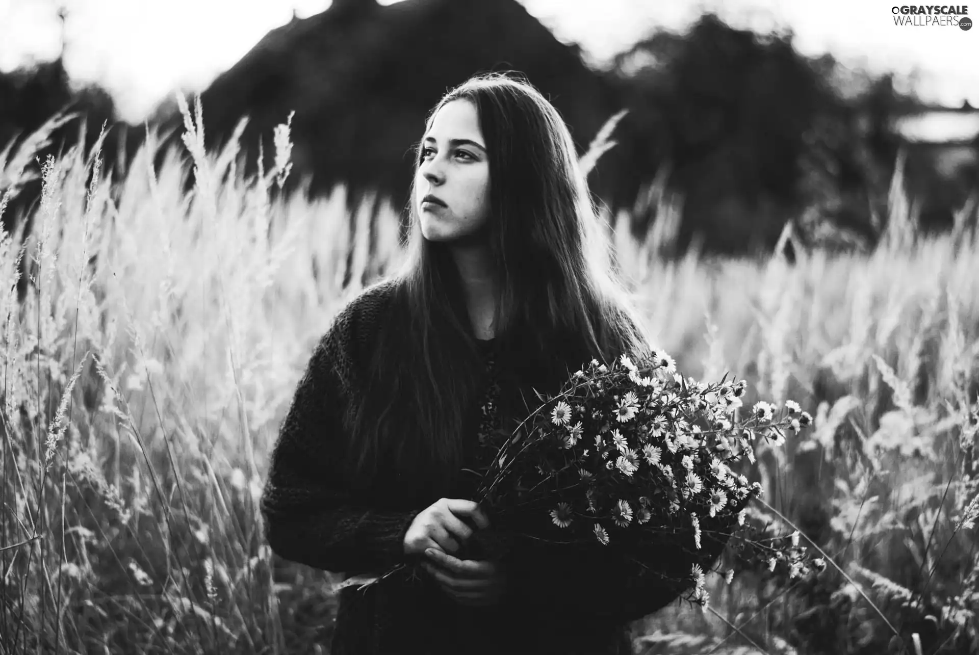 Women, bouquet, flowers, brunette