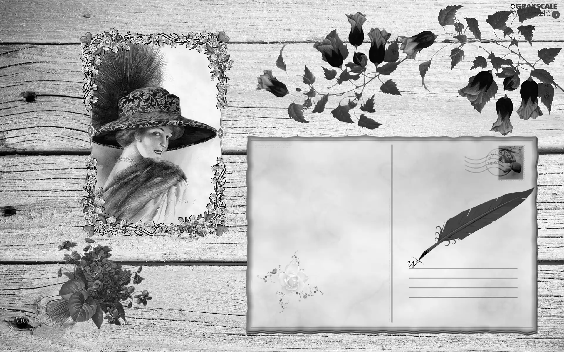 card, graphics, Flowers, Women, pen, Postcard