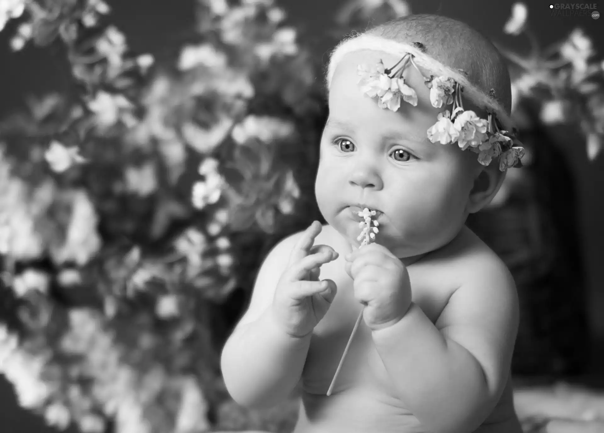 Flowers, girl, wreath