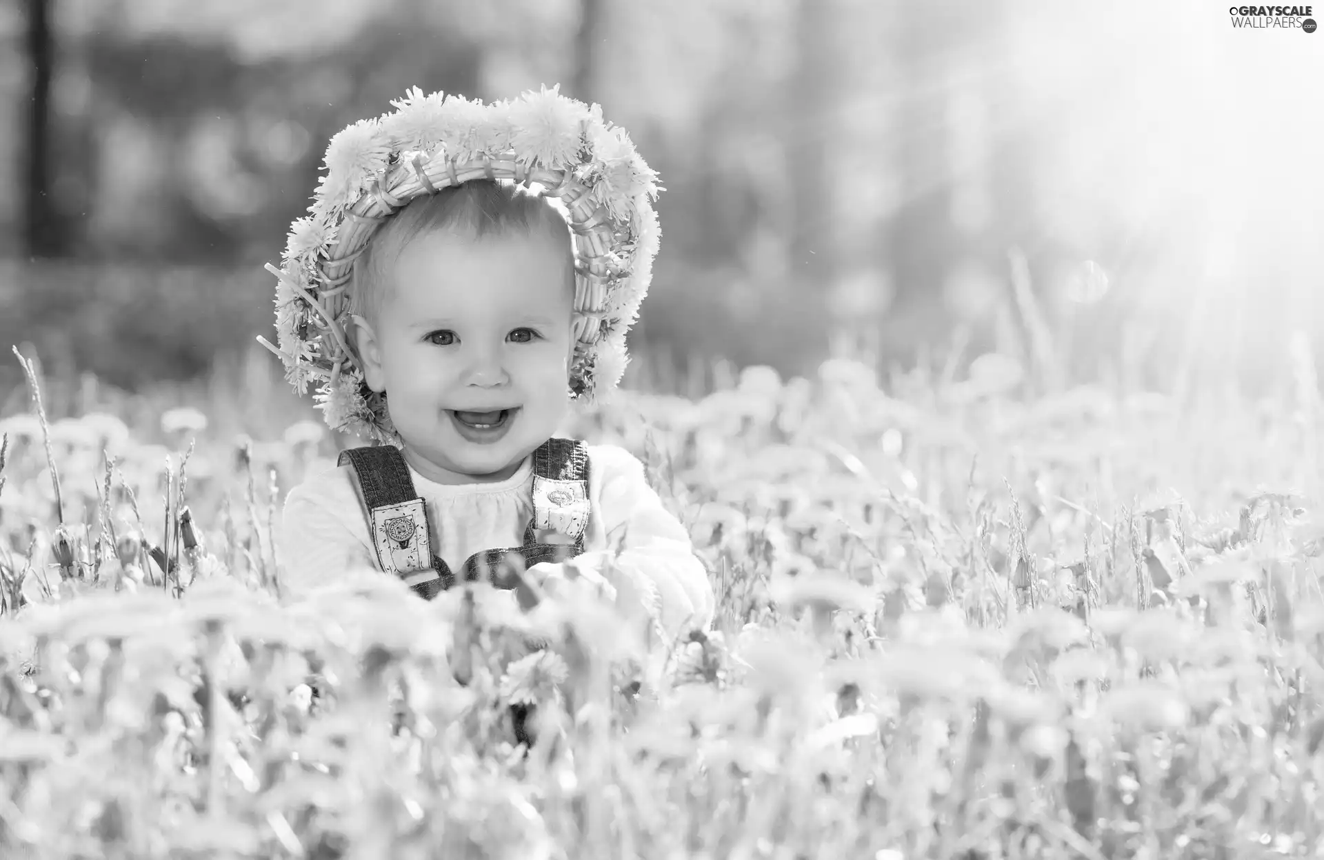 Flowers, Kid, wreath