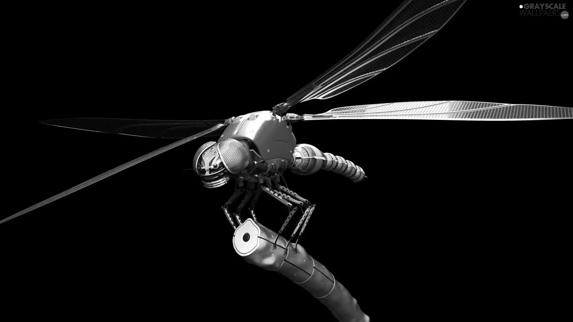 Clockwork, dragon-fly