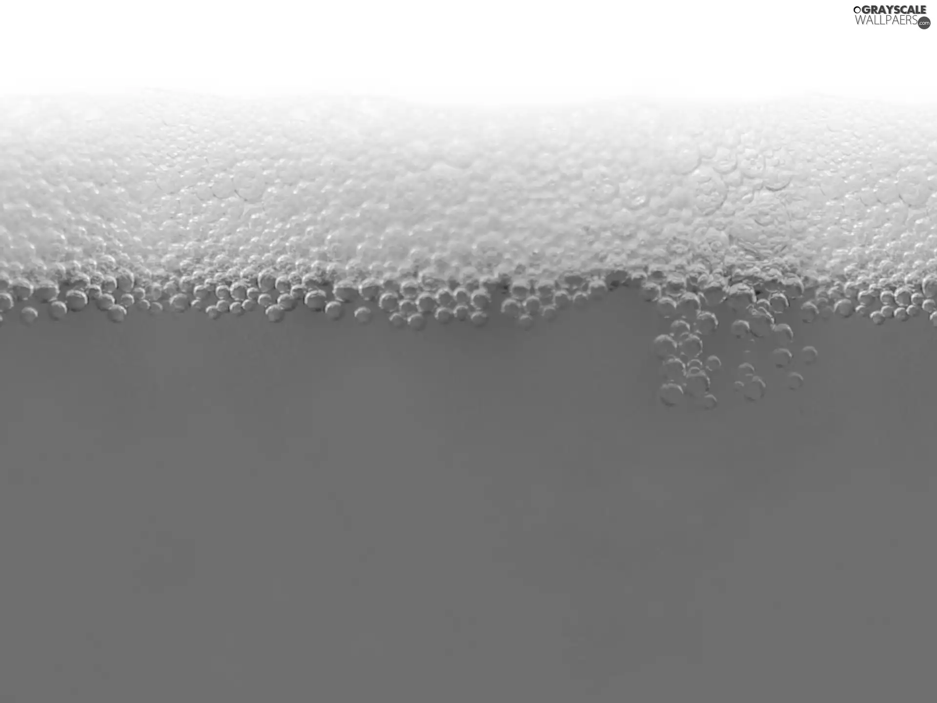 Foam, rapprochement, Beer