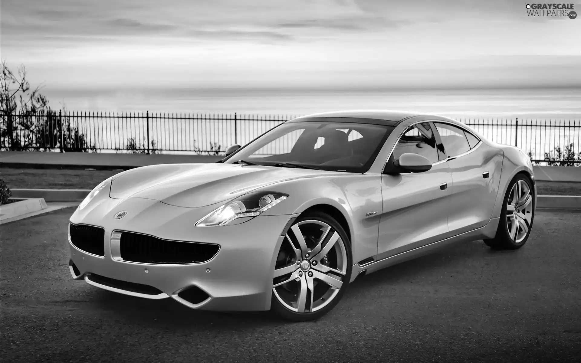 Fisker, fodder