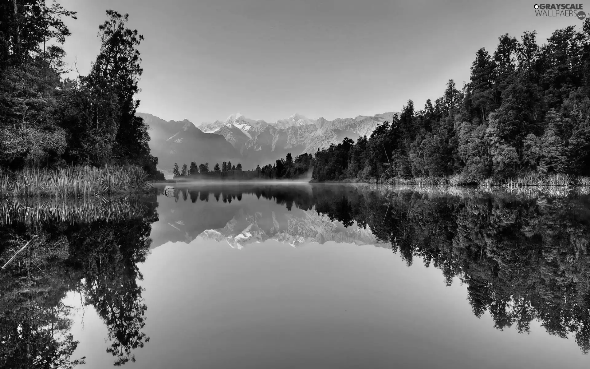 Fog, autumn, woods, Mountains, lake