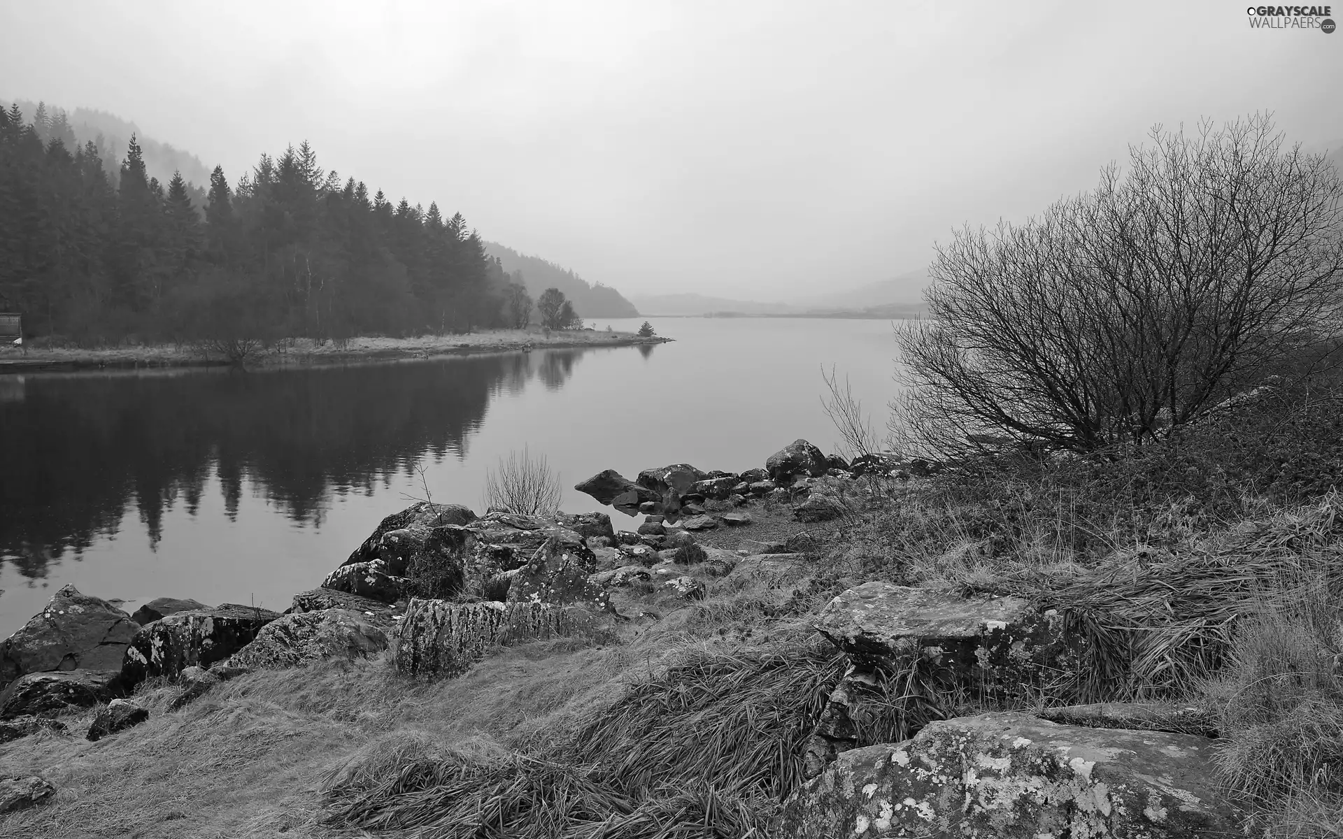 woods, lake, Fog, autumn, Mountains, Stones