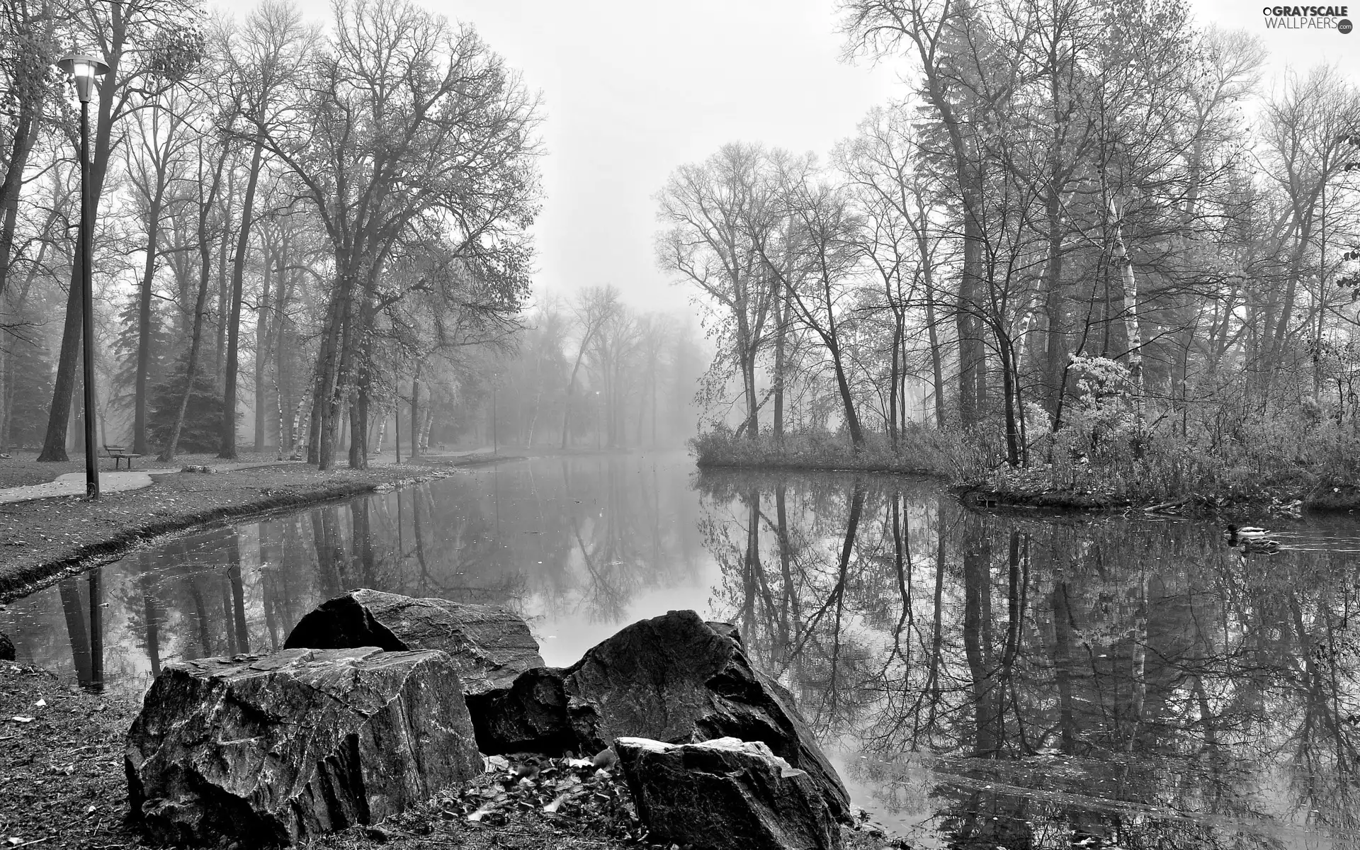Stones, River, Fog, autumn, Park, ducks