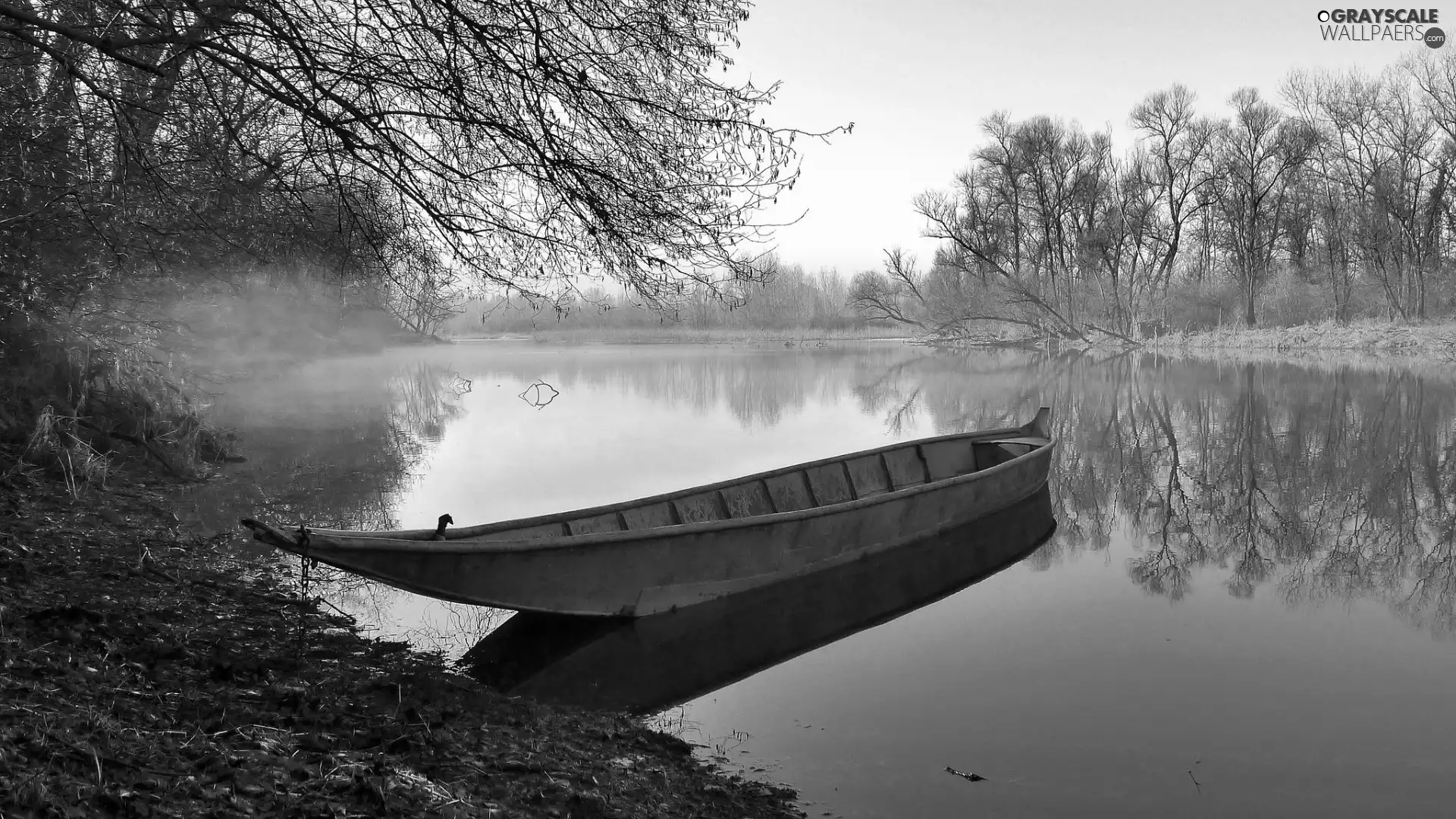 Fog, autumn, Lodz, forest, River