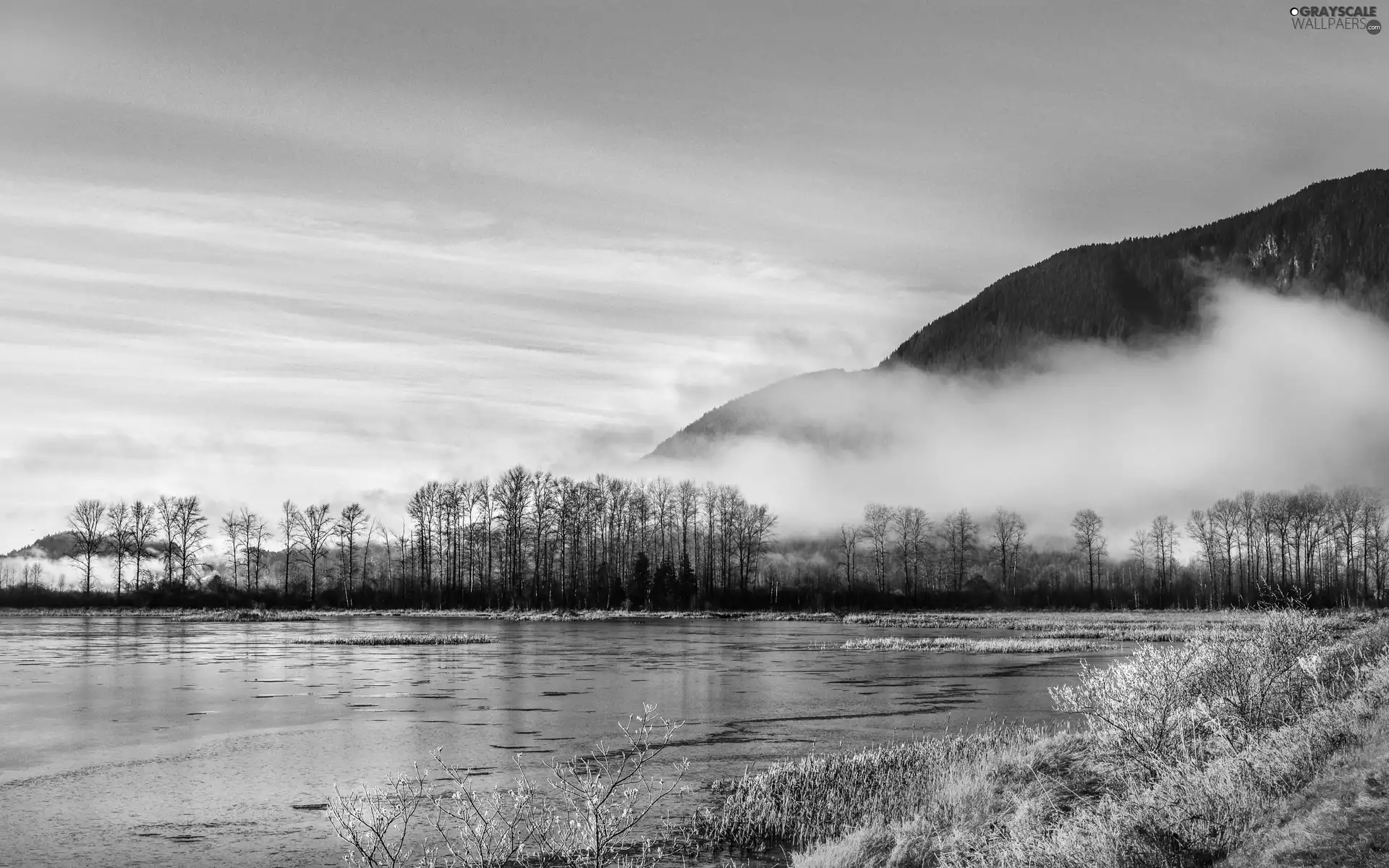 Fog, autumn, woods, Mountains, River