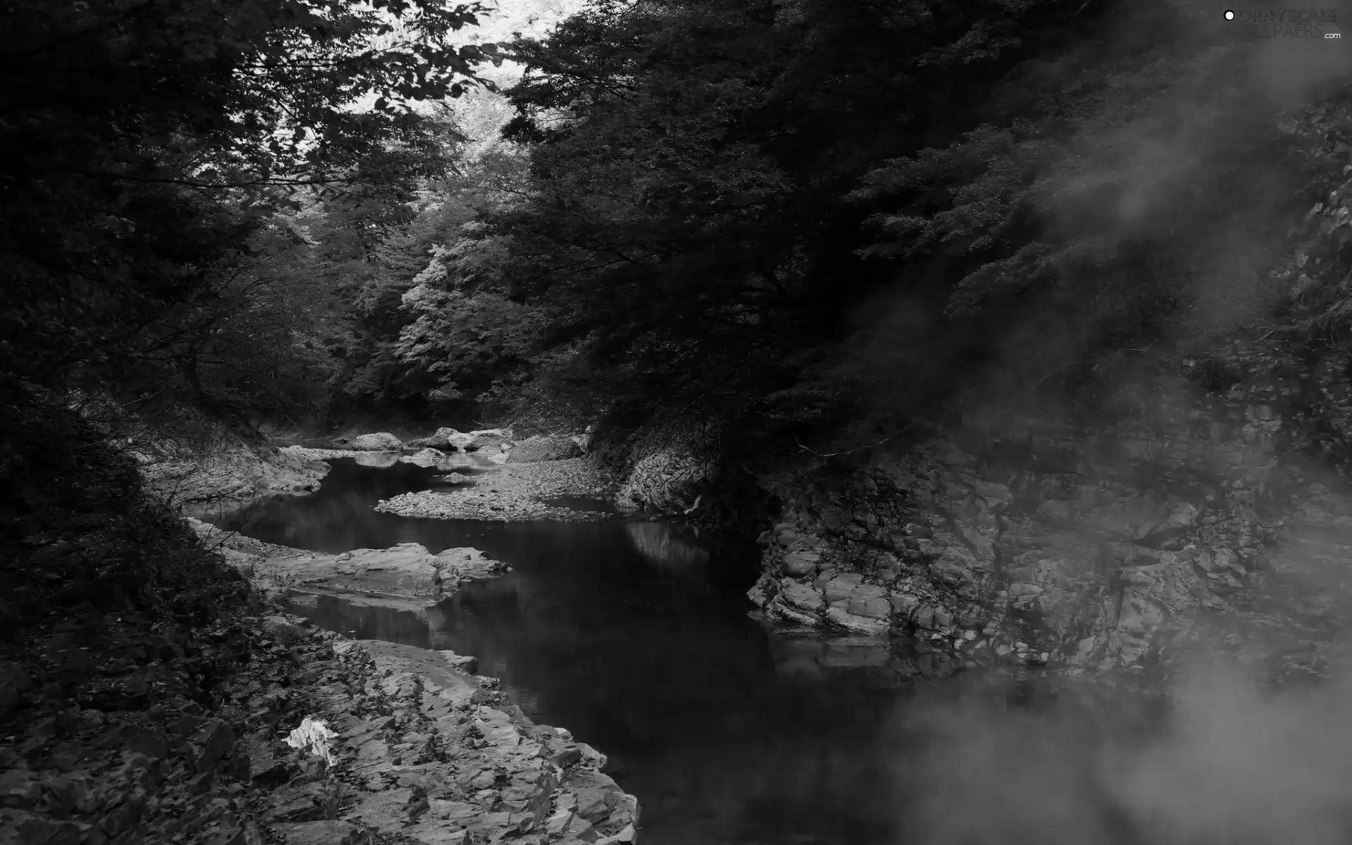 rocks, forest, Fog, autumn, Stones, River